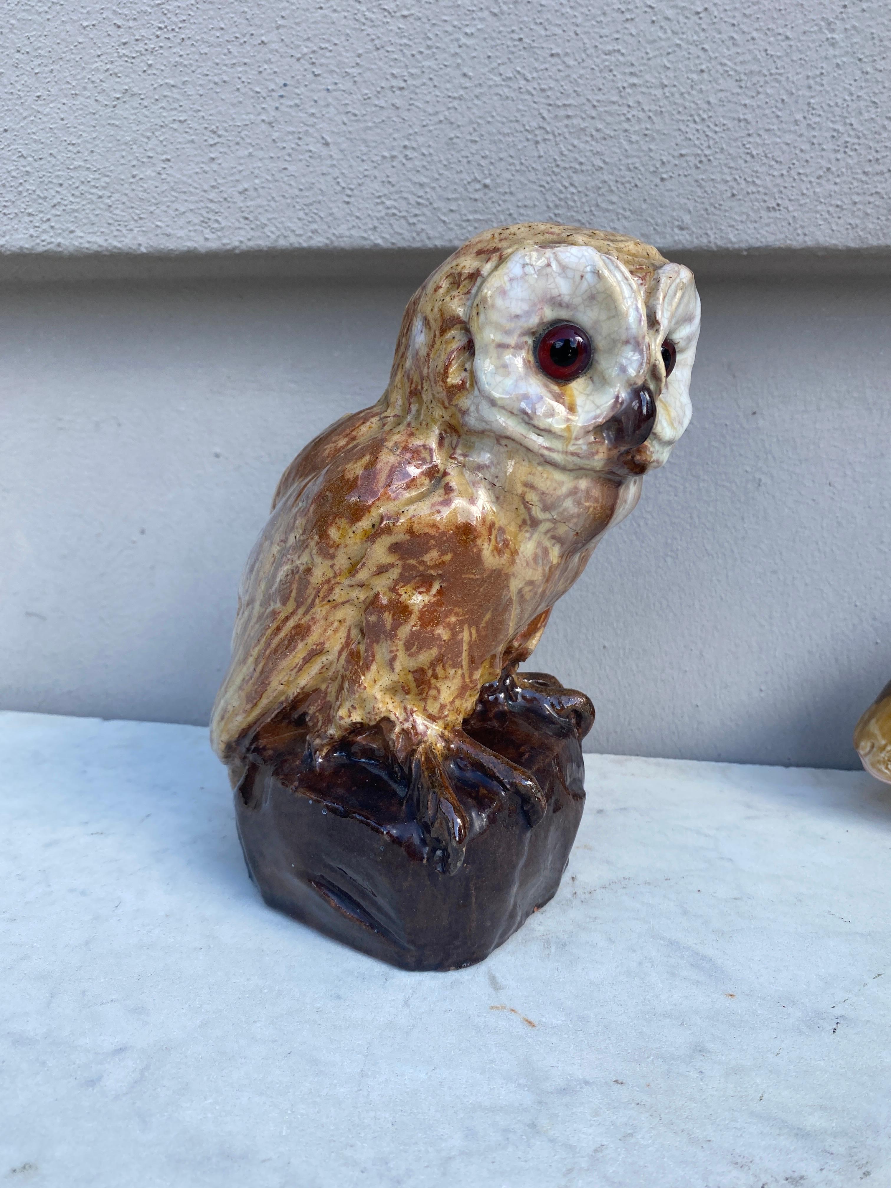 Rare Terracotta Majolica Owl Filmont Bavent Normandy For Sale 2