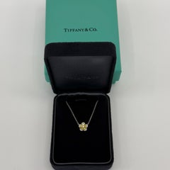 Rare Tiffany & Co. Flower Garden Fancy Yellow Diamond Platinum Pendant Necklace