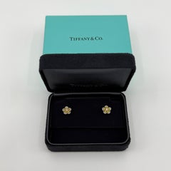 Rare Tiffany & Co. Flower Garden Fancy Yellow Diamond Platinum Stud Earrings
