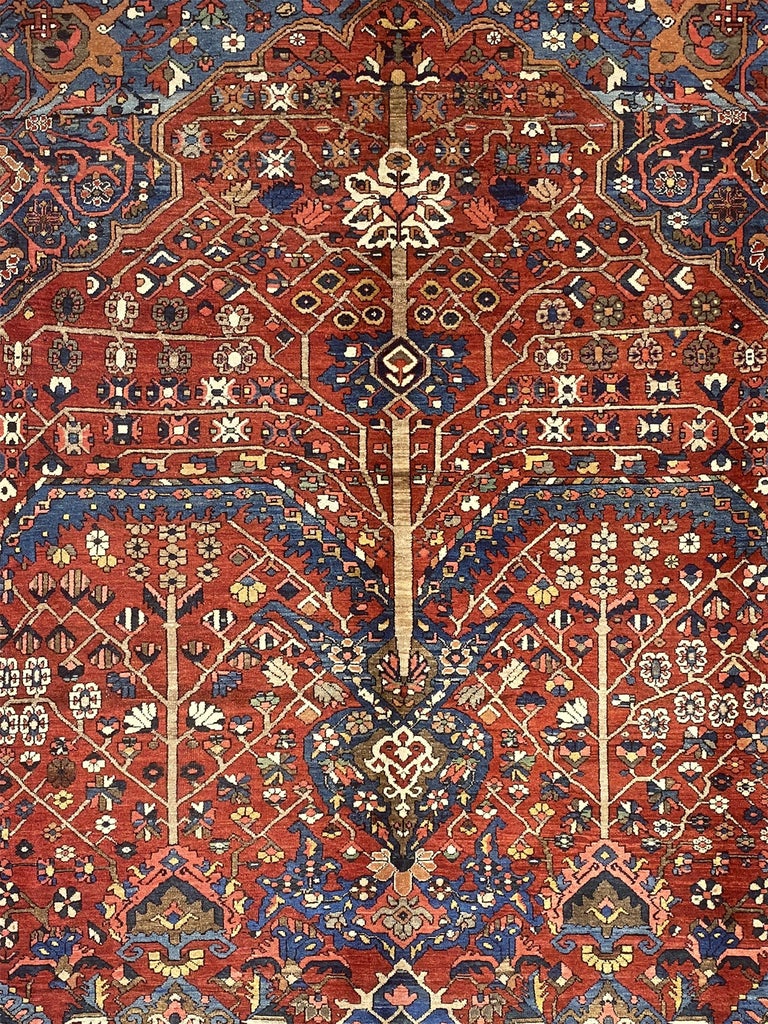 Seltener antiker persischer BakhtiariBaum des Lebens 10'' 6 x 12'' 8