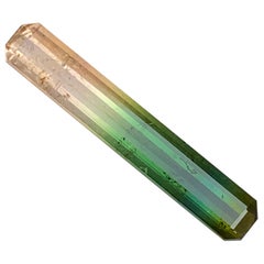 Rara gemma sfusa di tormalina anguria tricolore, 4,95 ct di lunghezza smeraldo/ottavo