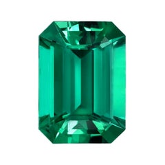 Rare Untreated Muzo Colombian Emerald Cut Emerald – Perfect for Collectors