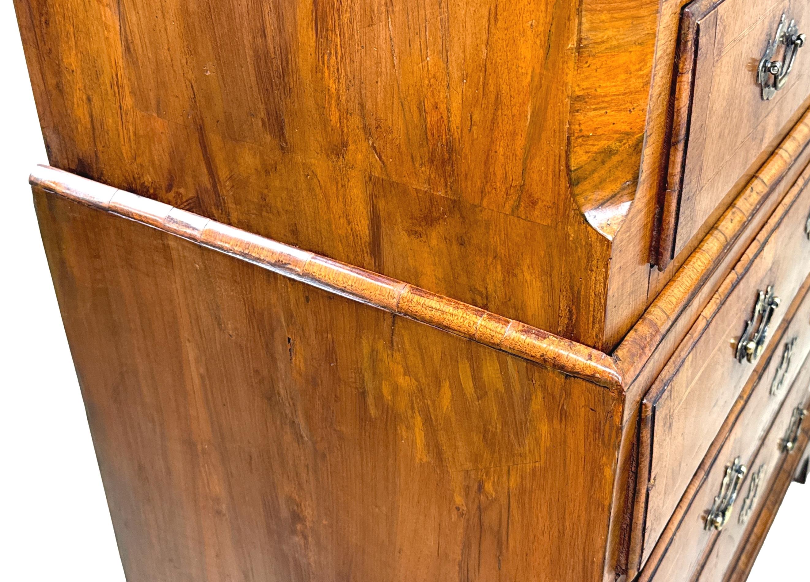Rare Very Small Georgian Walnut Tallboy For Sale 3