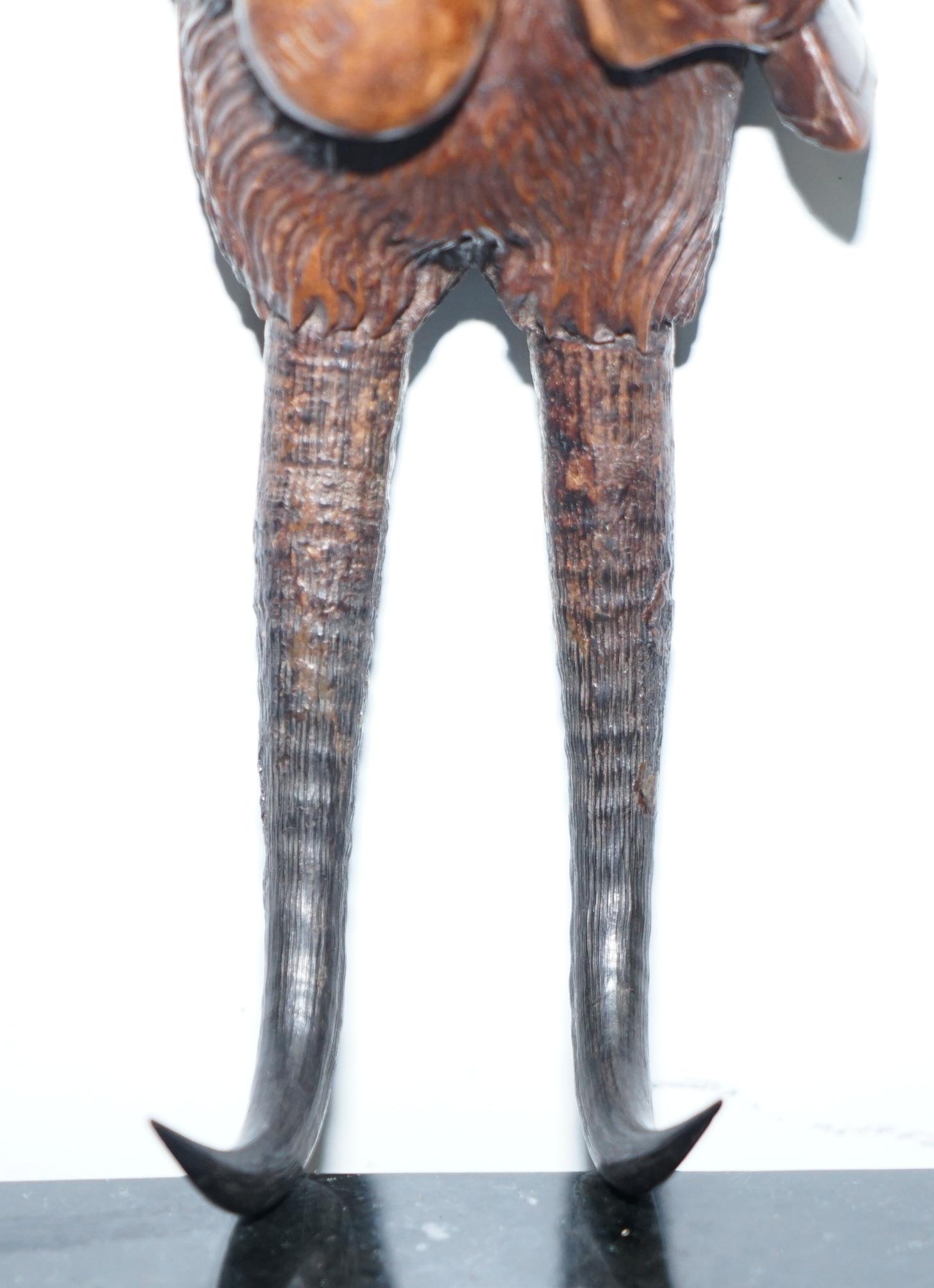 19th Century Rare Victorian 1880 Black Forest Carved Wood Terrier Maison Dog Whip Hook