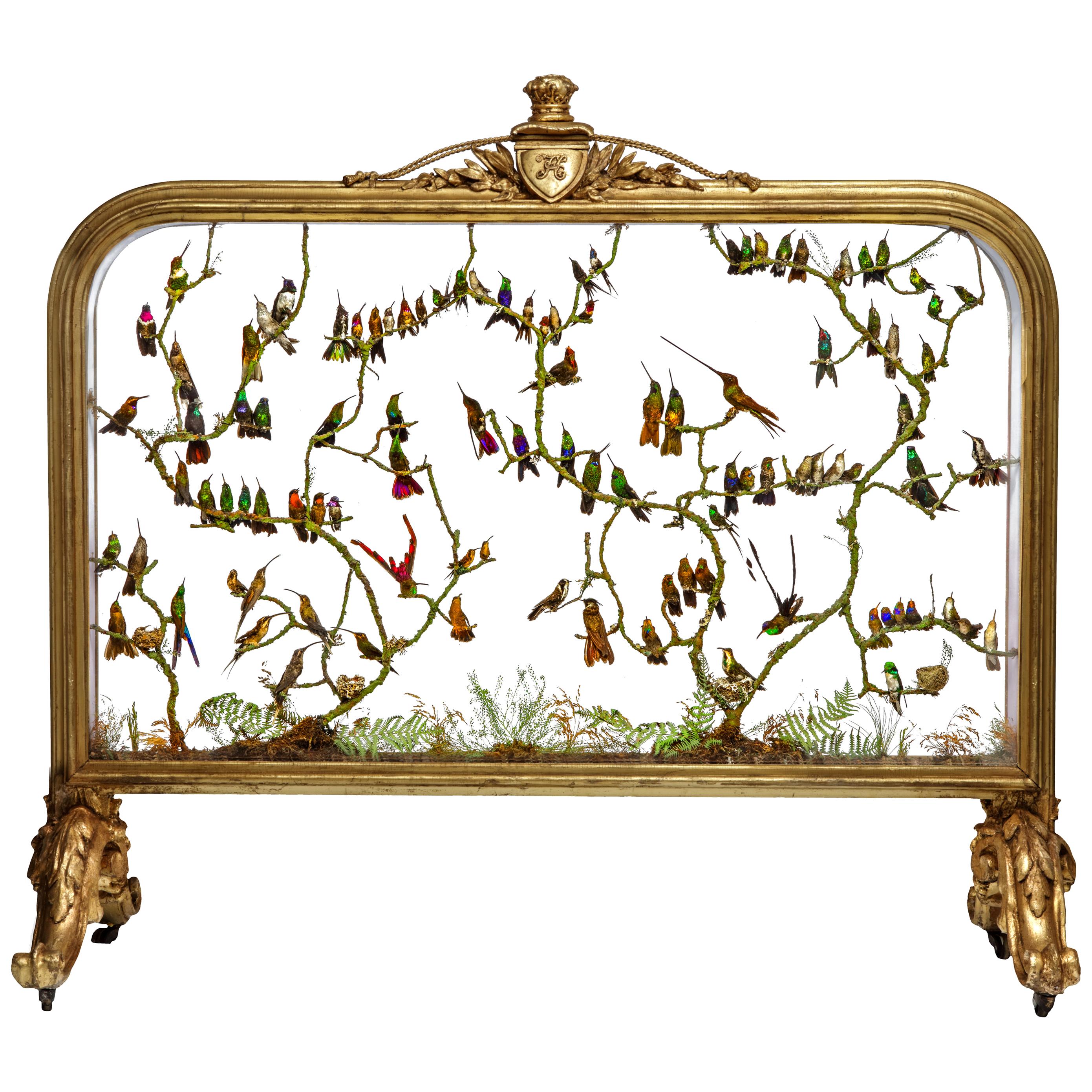 Rare Victorian Firescreen with Taxidermy Hummingbirds by Henry Ward
