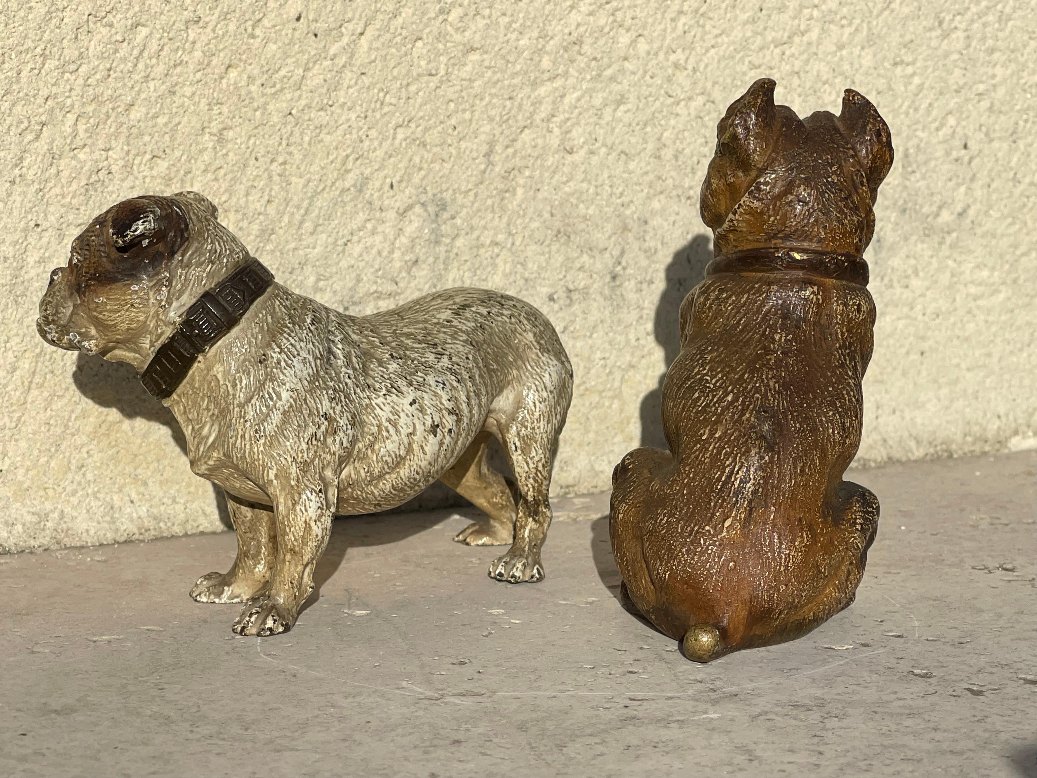 RARO Geschützt in bronzo di Vienna, bulldog seduto in vendita 4
