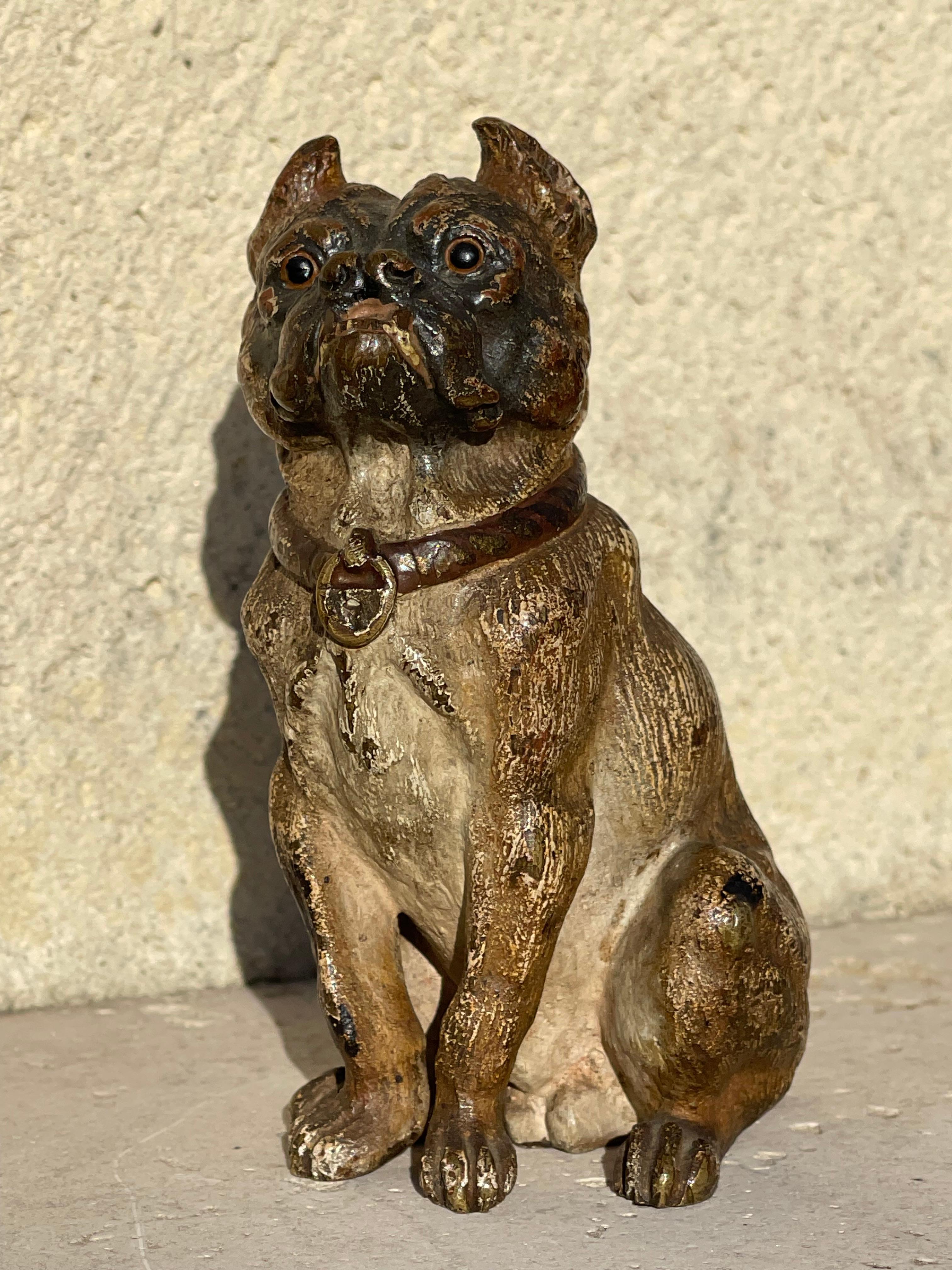 Geschützt Vienna Bronze raffigurante un bulldog seduto e fiero. 
 
 Dimensioni
 Altezza 10.5 cm
 Larghezza 5cm
 Profondità 6 cm