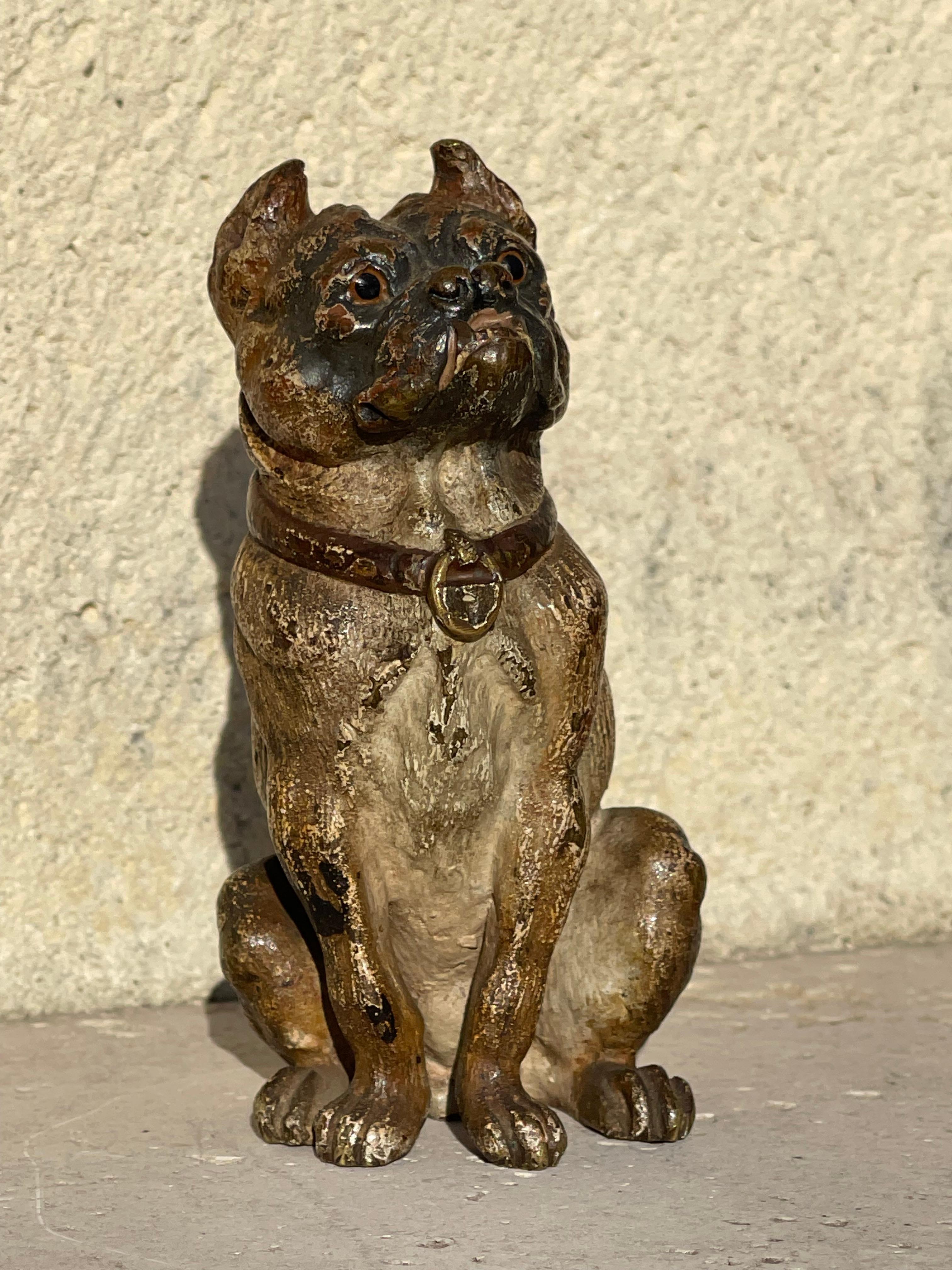 RARO Geschützt in bronzo di Vienna, bulldog seduto In condizioni buone in vendita a Beaune, FR