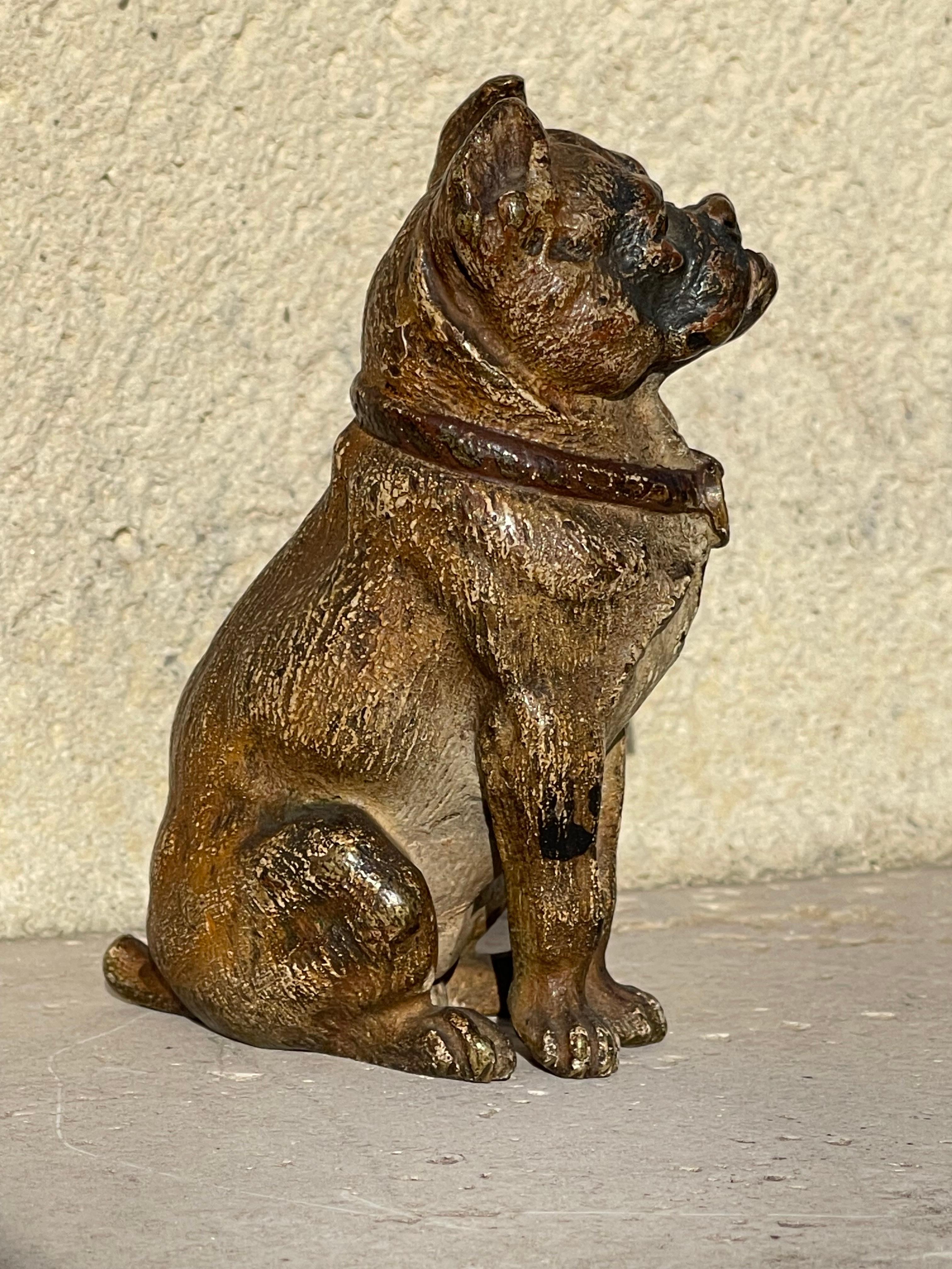 XIX secolo RARO Geschützt in bronzo di Vienna, bulldog seduto in vendita