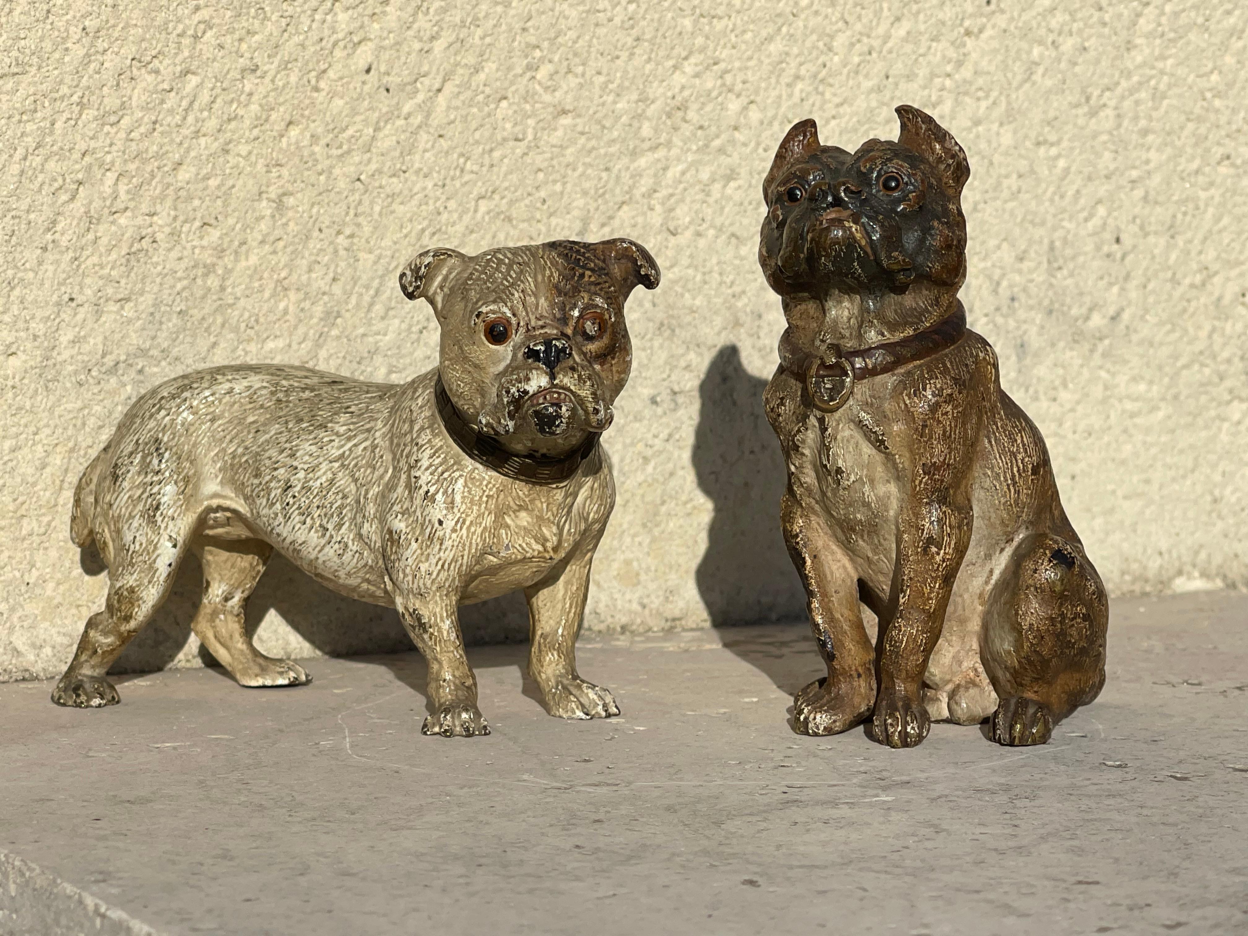 RARO Geschützt in bronzo di Vienna, bulldog seduto in vendita 2