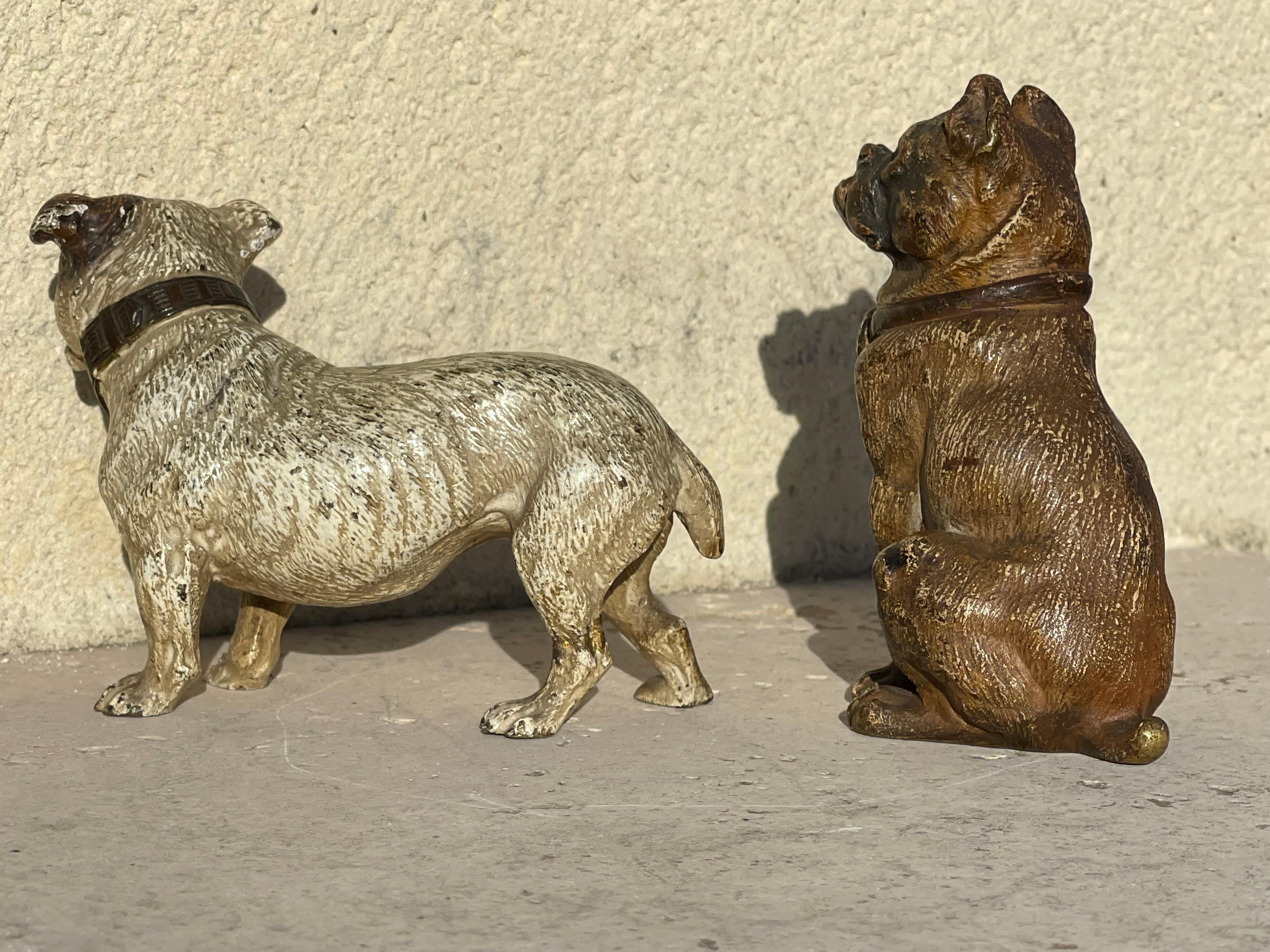 RARO Geschützt in bronzo di Vienna, bulldog seduto in vendita 3