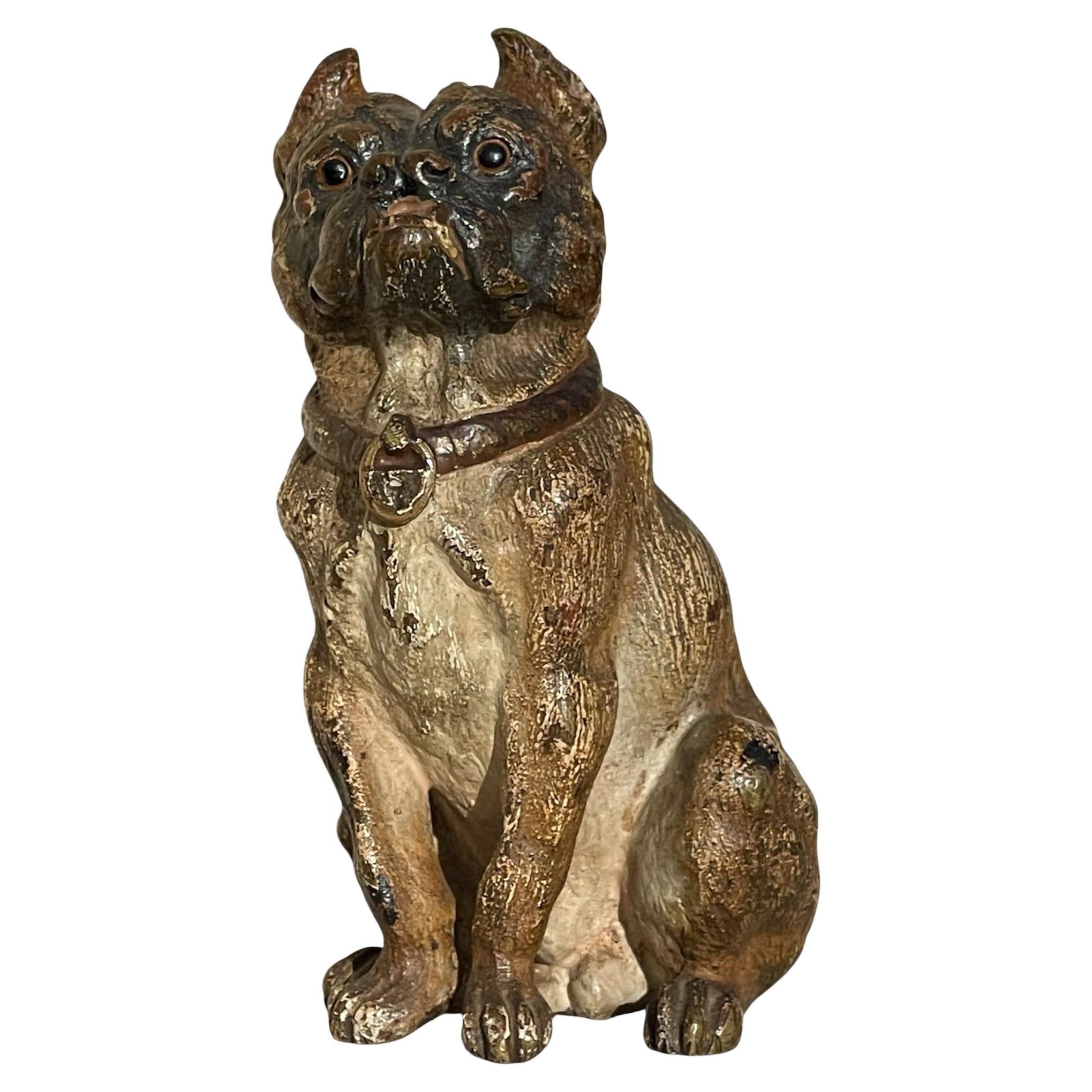 RARO Geschützt in bronzo di Vienna, bulldog seduto in vendita