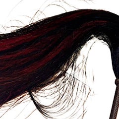 Rare Vintage Gucci Equestrian Riding Crop / Fly Whisk, Early 20th Century