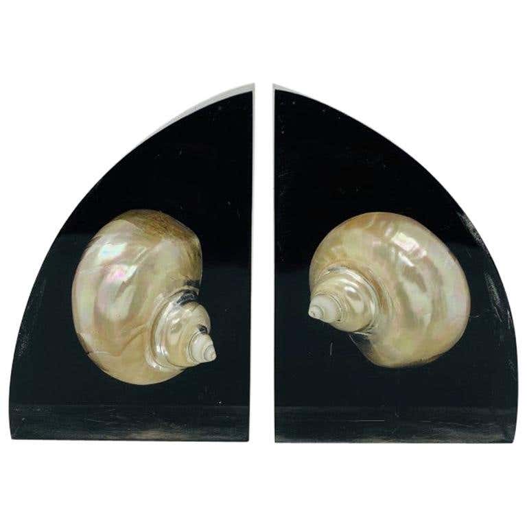 Pair of Lucite Bookends with Encased Nautilus Shell For Sale at 1stDibs ...