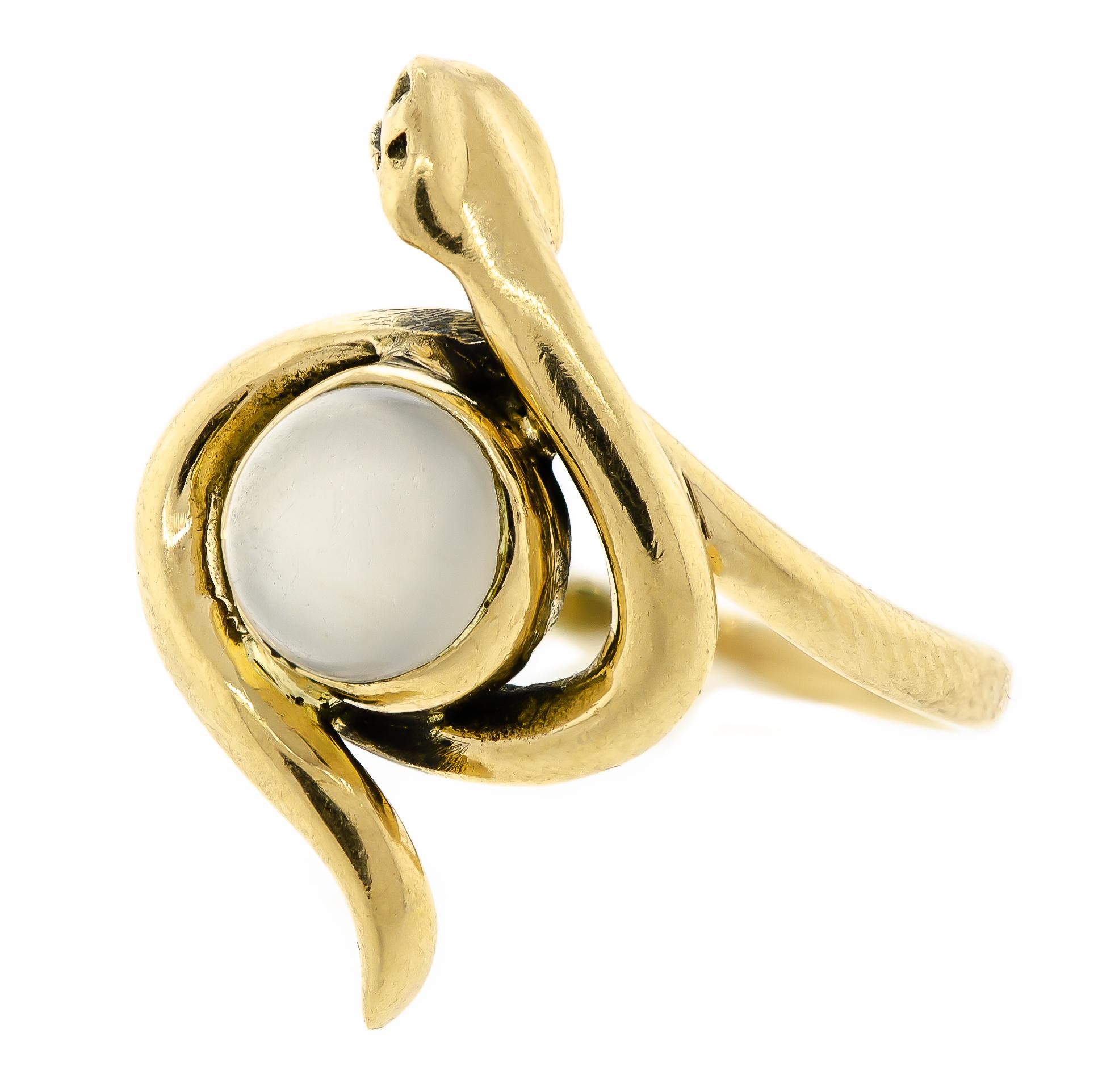 Rare vintage circa 1910 moonstone and coiled striking 14 karat yellow gold ring centrally set with one bezel set round moonstone center body of a coiled striking snake - size about 6.5 but can be sized up or down - Excellent condition.  1 3/4