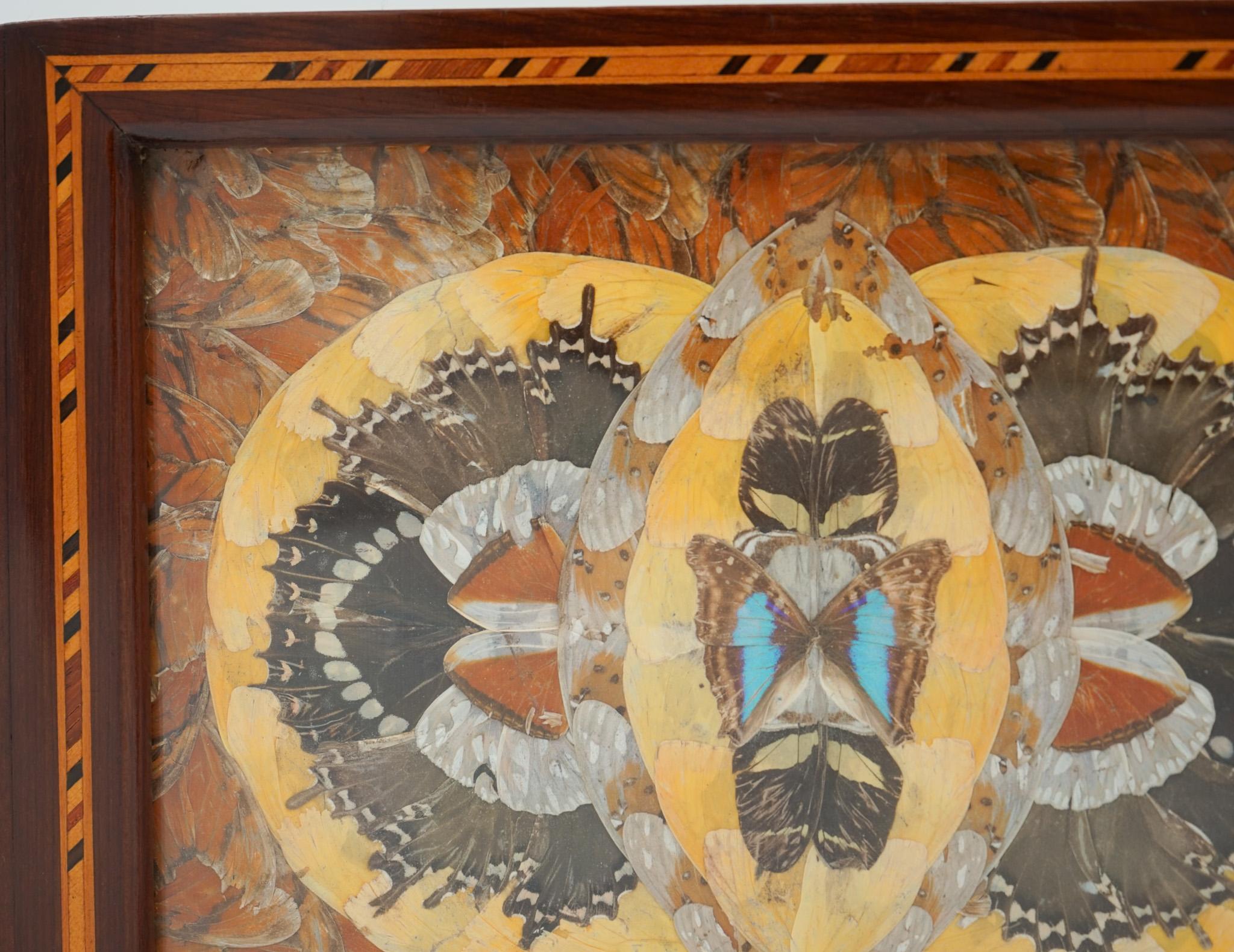 RARE PLATEAU A PAPILLON MORPHO D'ORIGINE FAIT A LA MAIN PAR UN PRISONNIER DE L'ÎLE DU DIABLE 1940's Bon état - En vente à Pulborough, GB