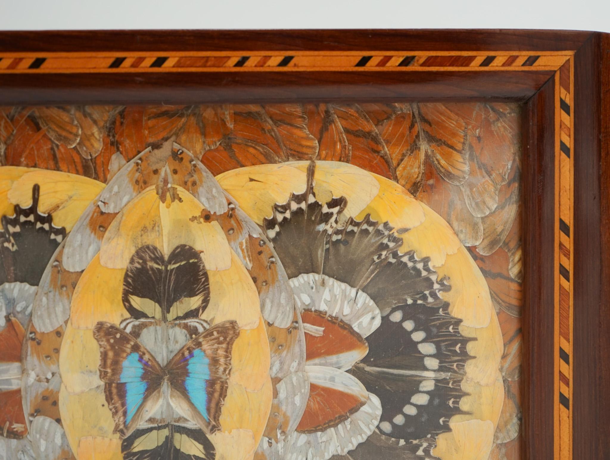 20ième siècle RARE PLATEAU A PAPILLON MORPHO D'ORIGINE FAIT A LA MAIN PAR UN PRISONNIER DE L'ÎLE DU DIABLE 1940's en vente