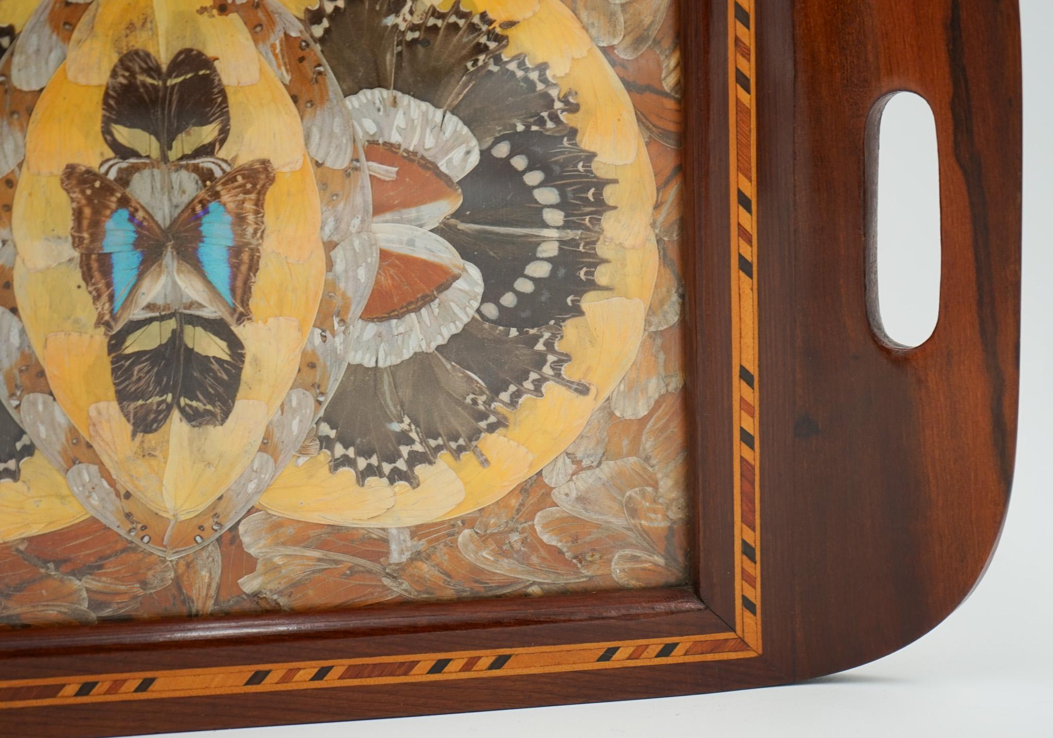 RARE PLATEAU A PAPILLON MORPHO D'ORIGINE FAIT A LA MAIN PAR UN PRISONNIER DE L'ÎLE DU DIABLE 1940's en vente 1