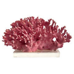 Rare spécimen de corail rose vintage sur base en lucite