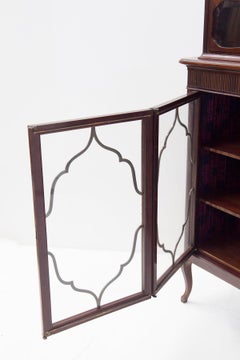 Rare Vintage Showcase from a House used for Furhery