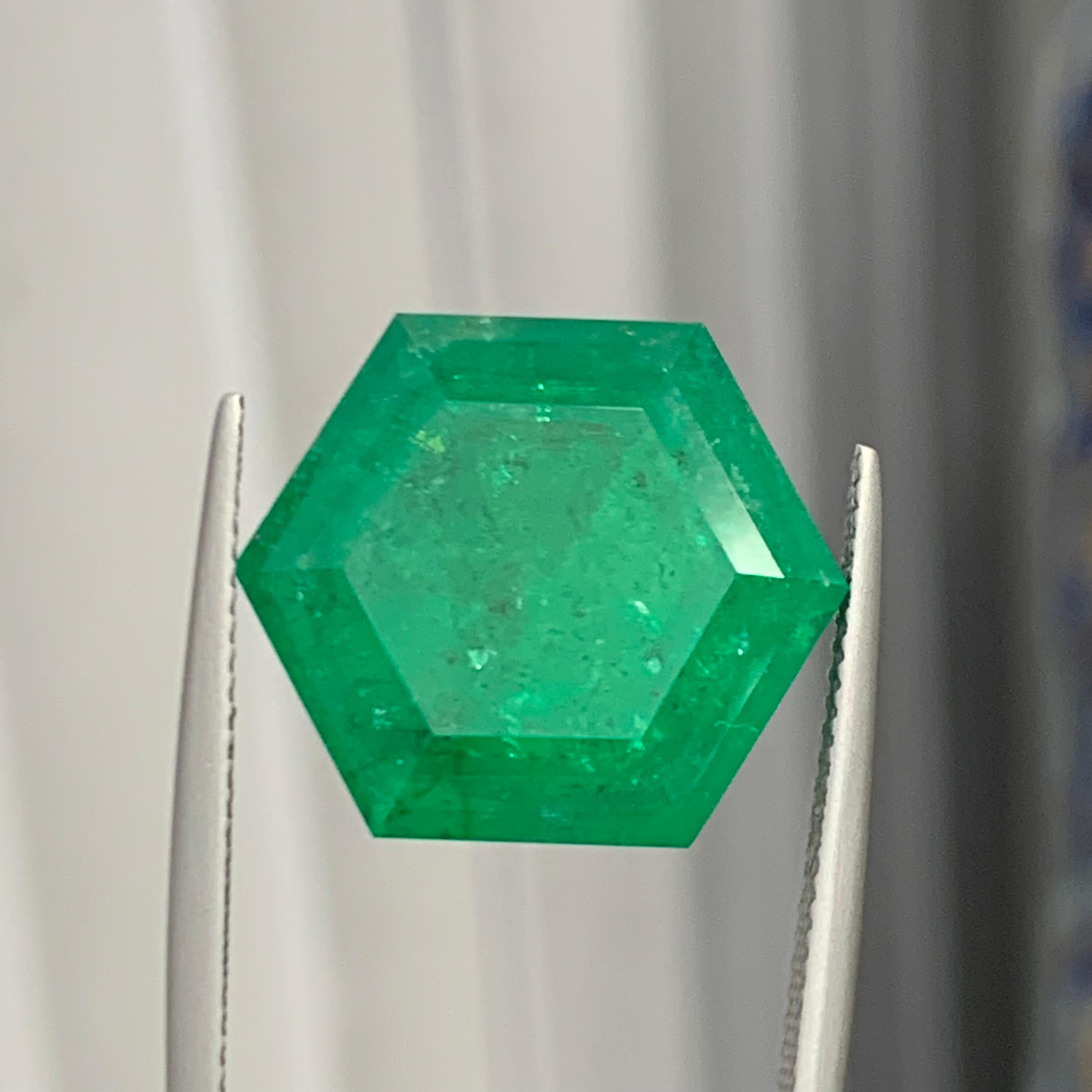 Rare Vivid Bluish Green Natural Panjshir Emerald Gemstone, 16.80 Ct Hexagon Cut For Sale 4
