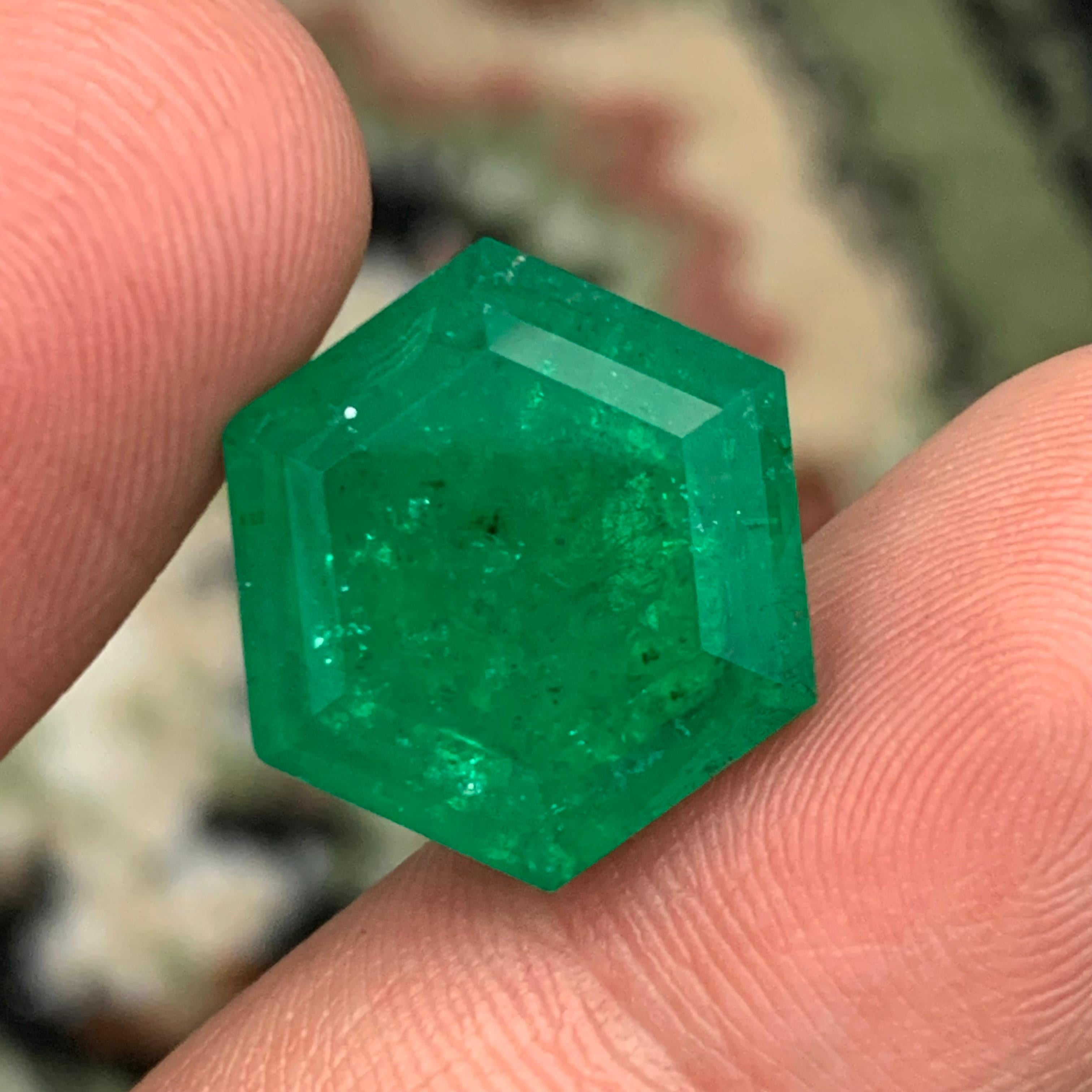 Rare Vivid Bluish Green Natural Panjshir Emerald Gemstone, 16.80 Ct Hexagon Cut For Sale 5