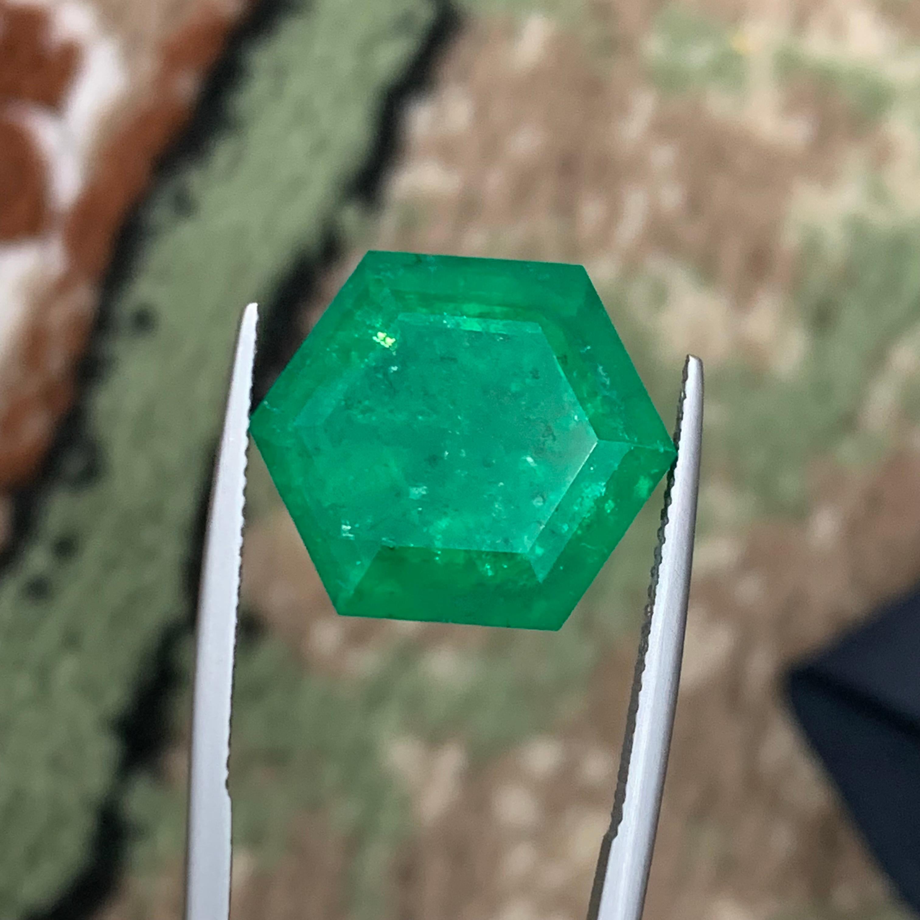 Rare Vivid Bluish Green Natural Panjshir Emerald Gemstone, 16.80 Ct Hexagon Cut For Sale 6