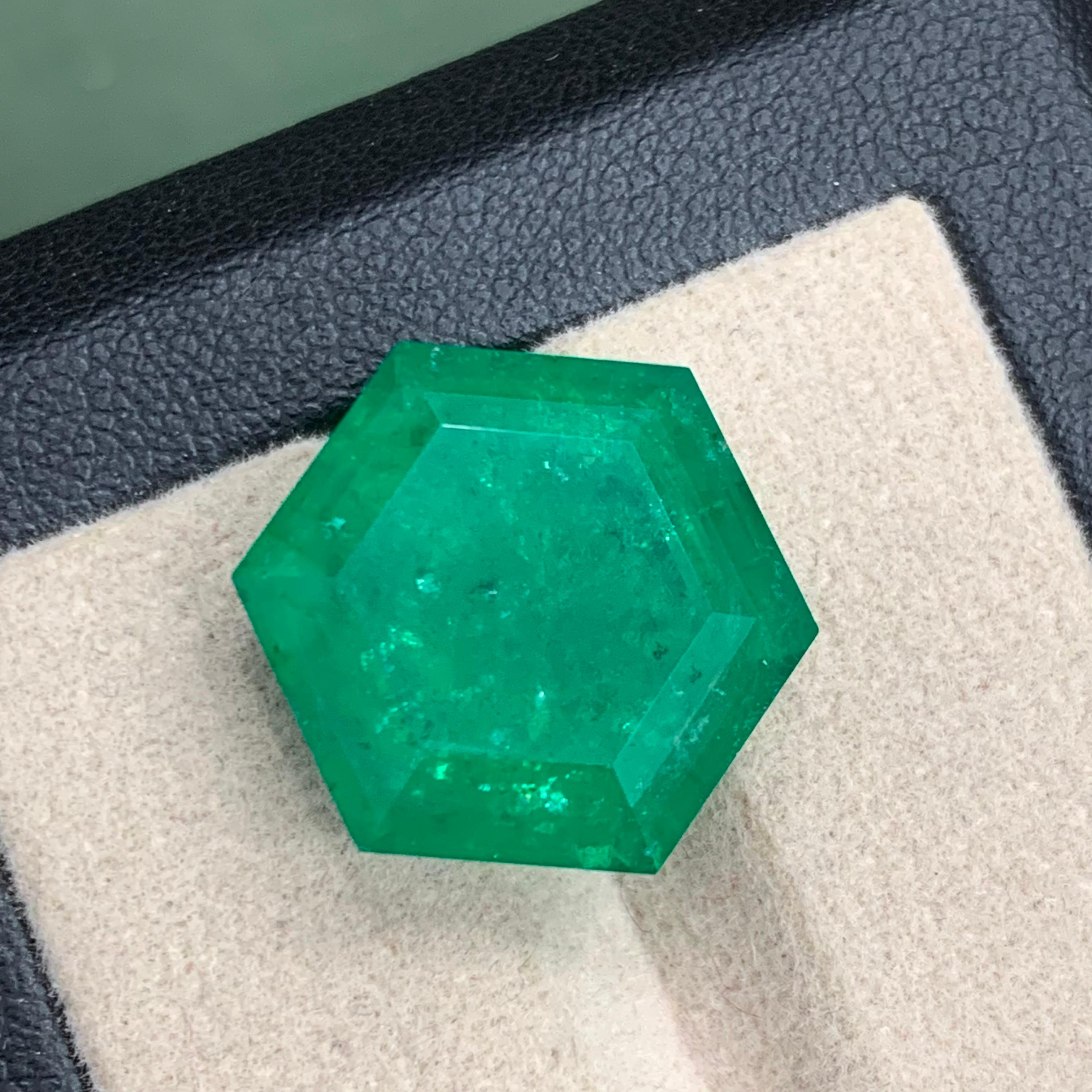 Rare Vivid Bluish Green Natural Panjshir Emerald Gemstone, 16.80 Ct Hexagon Cut For Sale 7