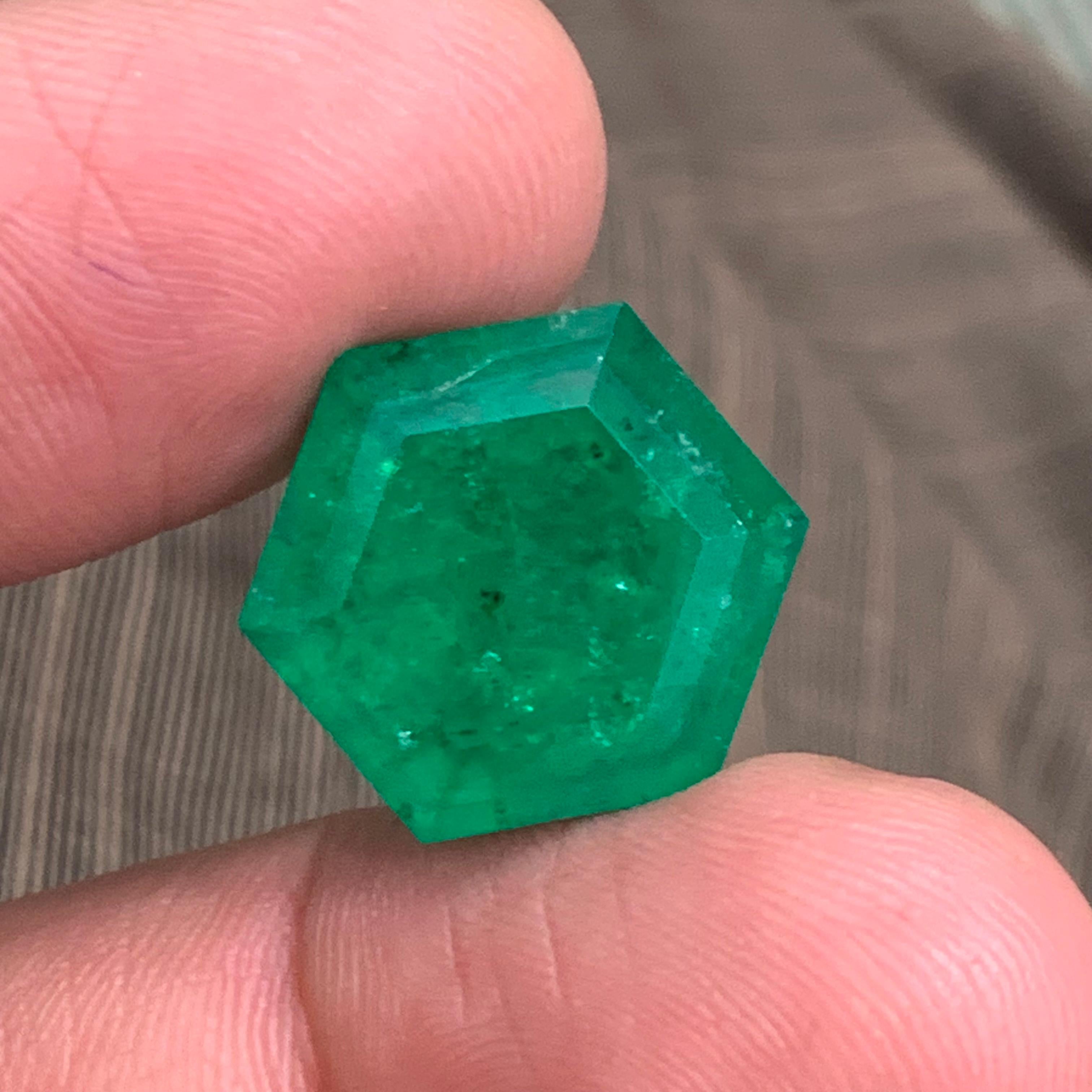 Rare Vivid Bluish Green Natural Panjshir Emerald Gemstone, 16.80 Ct Hexagon Cut For Sale 9
