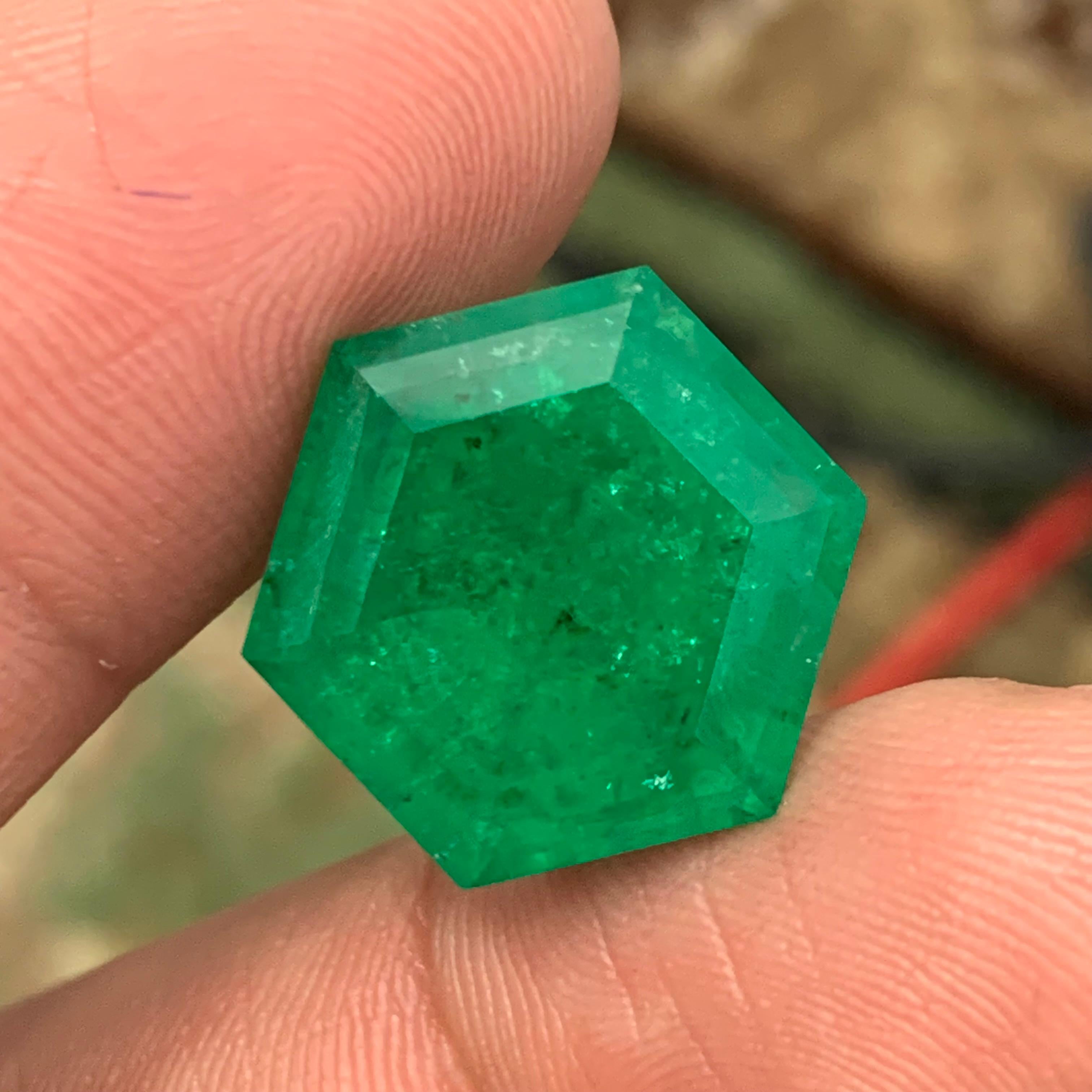 Rare Vivid Bluish Green Natural Panjshir Emerald Gemstone, 16.80 Ct Hexagon Cut For Sale 10