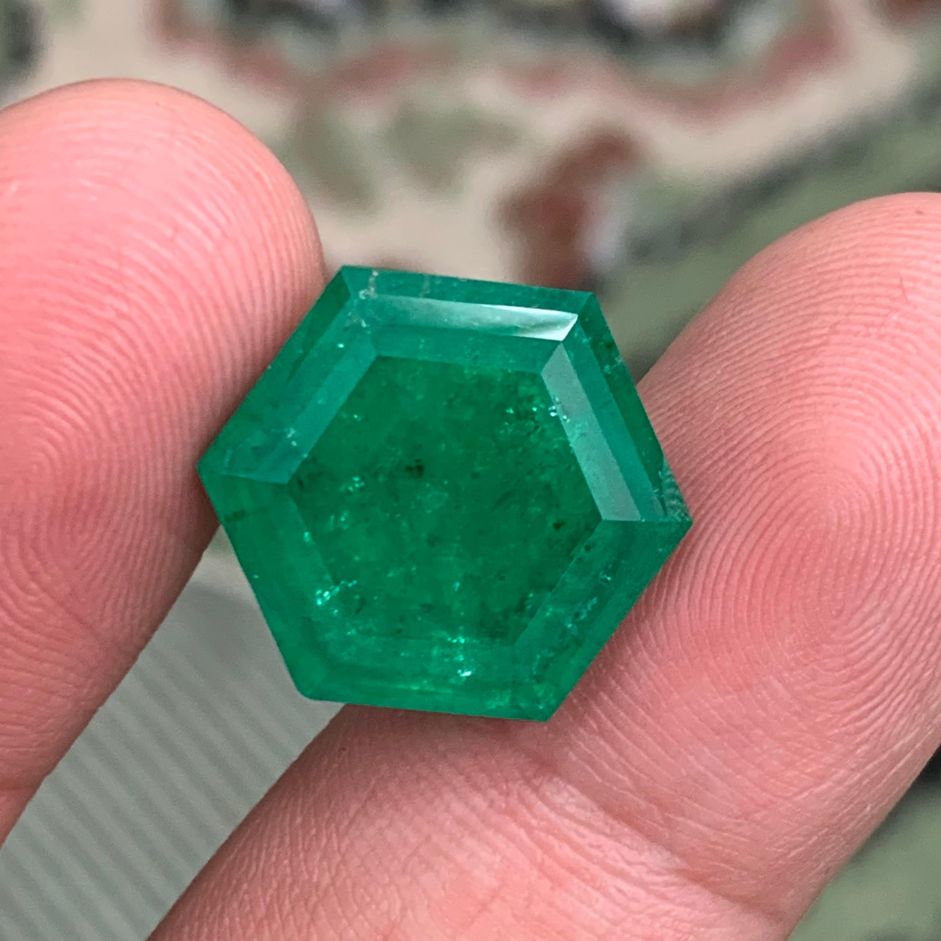 Rare Vivid Bluish Green Natural Panjshir Emerald Gemstone, 16.80 Ct Hexagon Cut For Sale 1