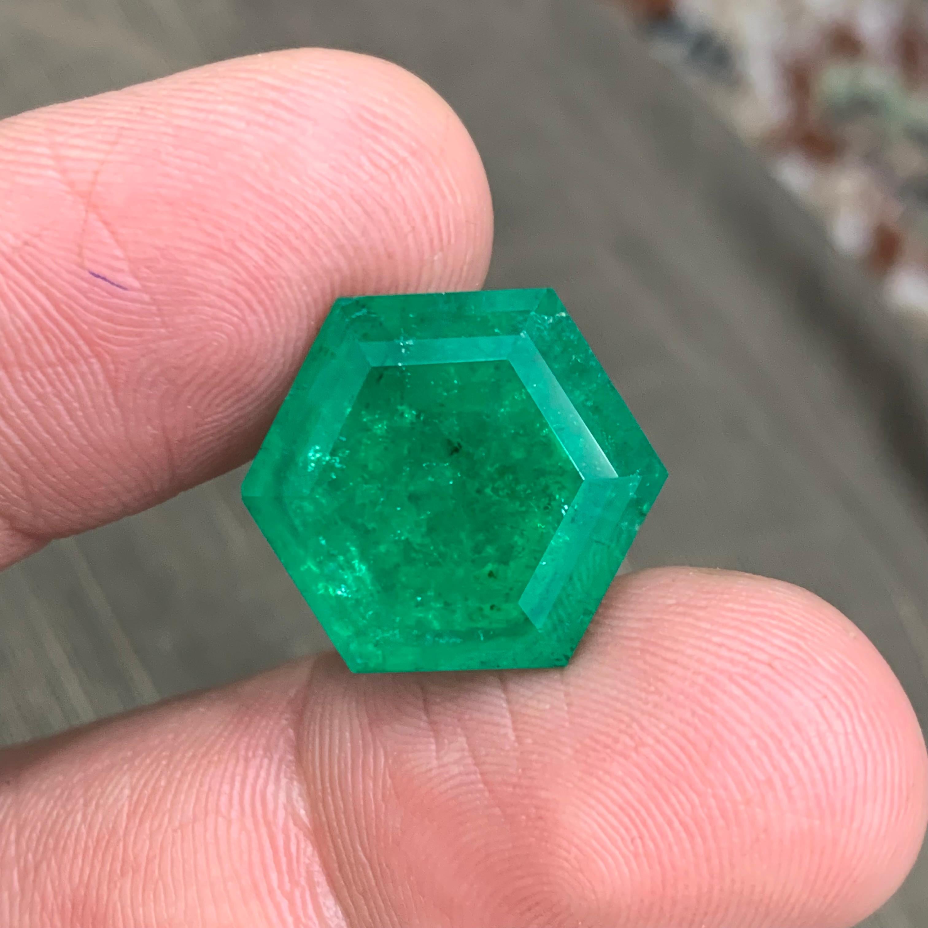 Rare Vivid Bluish Green Natural Panjshir Emerald Gemstone, 16.80 Ct Hexagon Cut For Sale 2