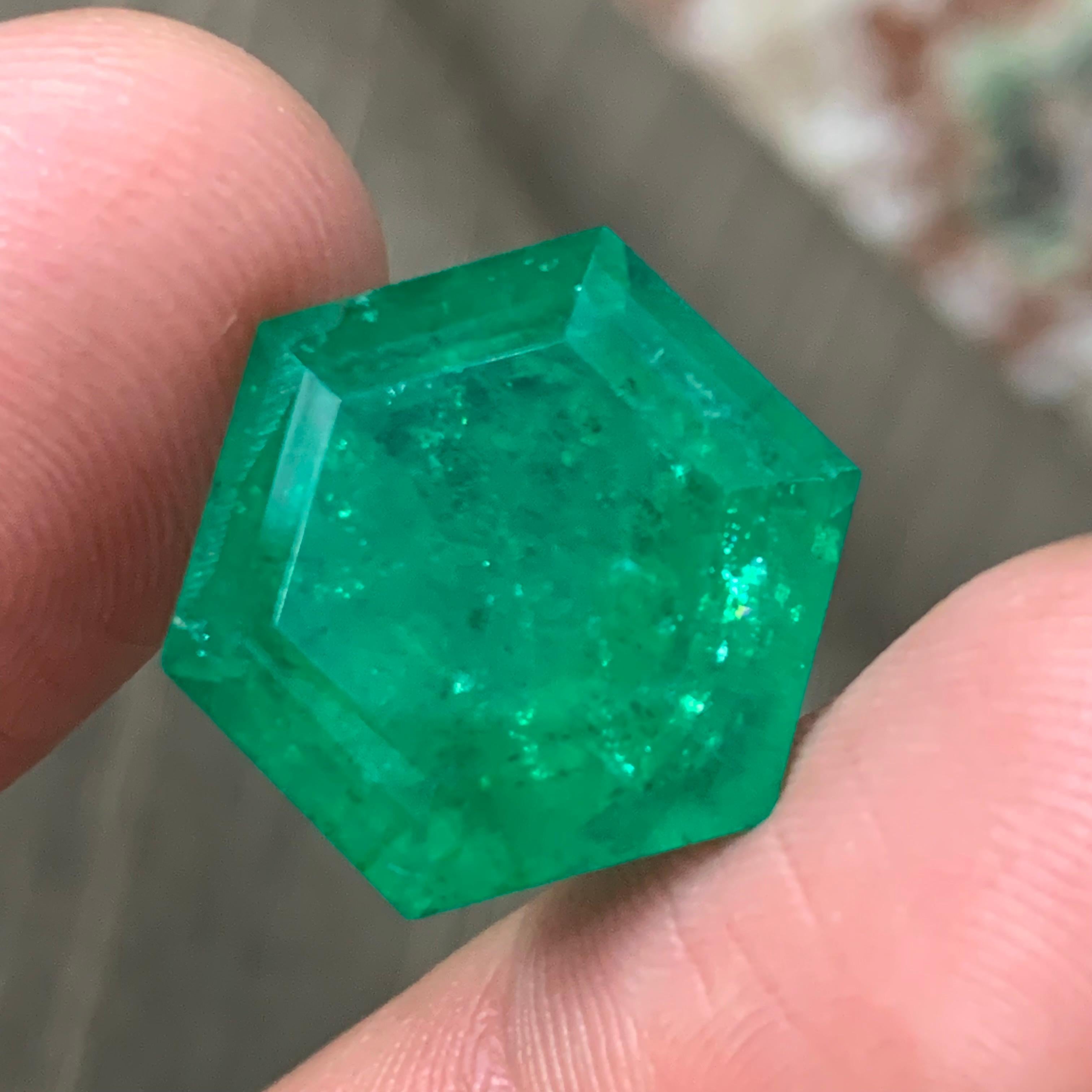 Rare Vivid Bluish Green Natural Panjshir Emerald Gemstone, 16.80 Ct Hexagon Cut For Sale 3