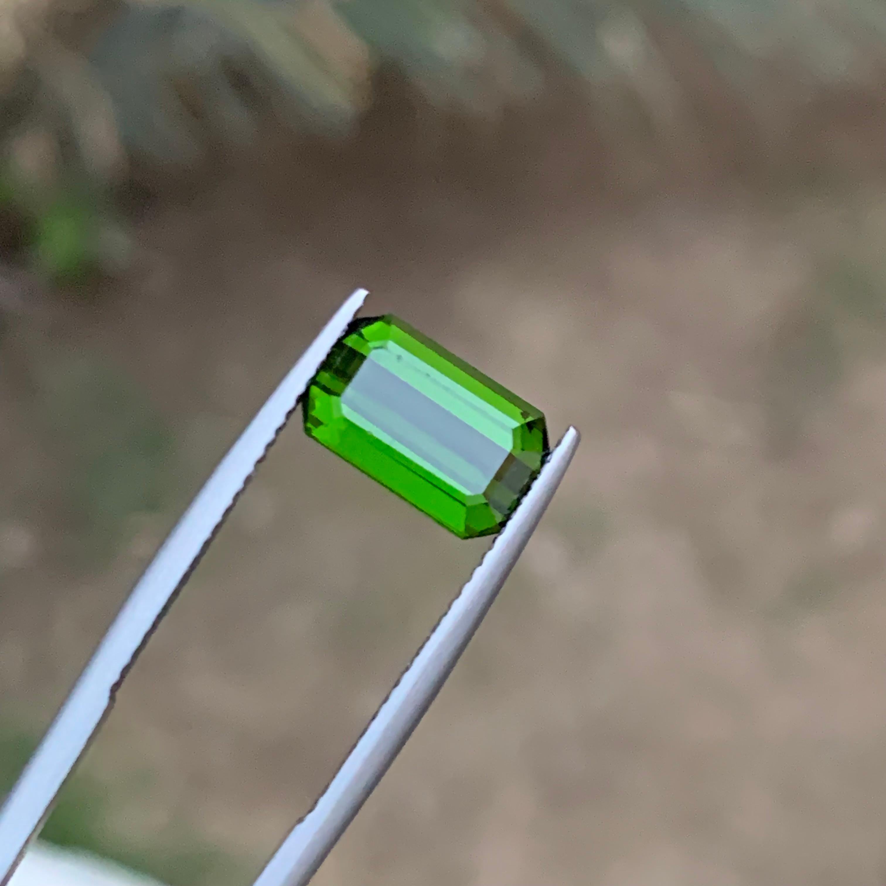 Rare Vivid Green Tourmaline Gemstone, 3.35 Ct Emerald Cut for Ring/Necklace For Sale 6