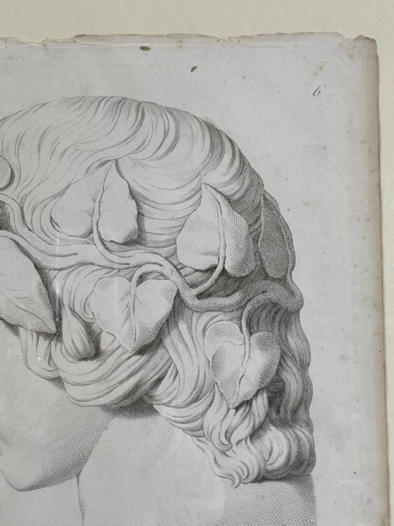 Rare Volpato Sculpture Head Study from Italy Print circa 1755 Custom Mat & Frame For Sale 4