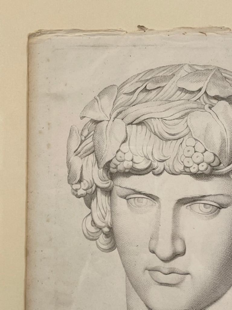 Rare Volpato Sculpture Head Study from Italy Print circa 1755 Custom Mat & Frame For Sale 3