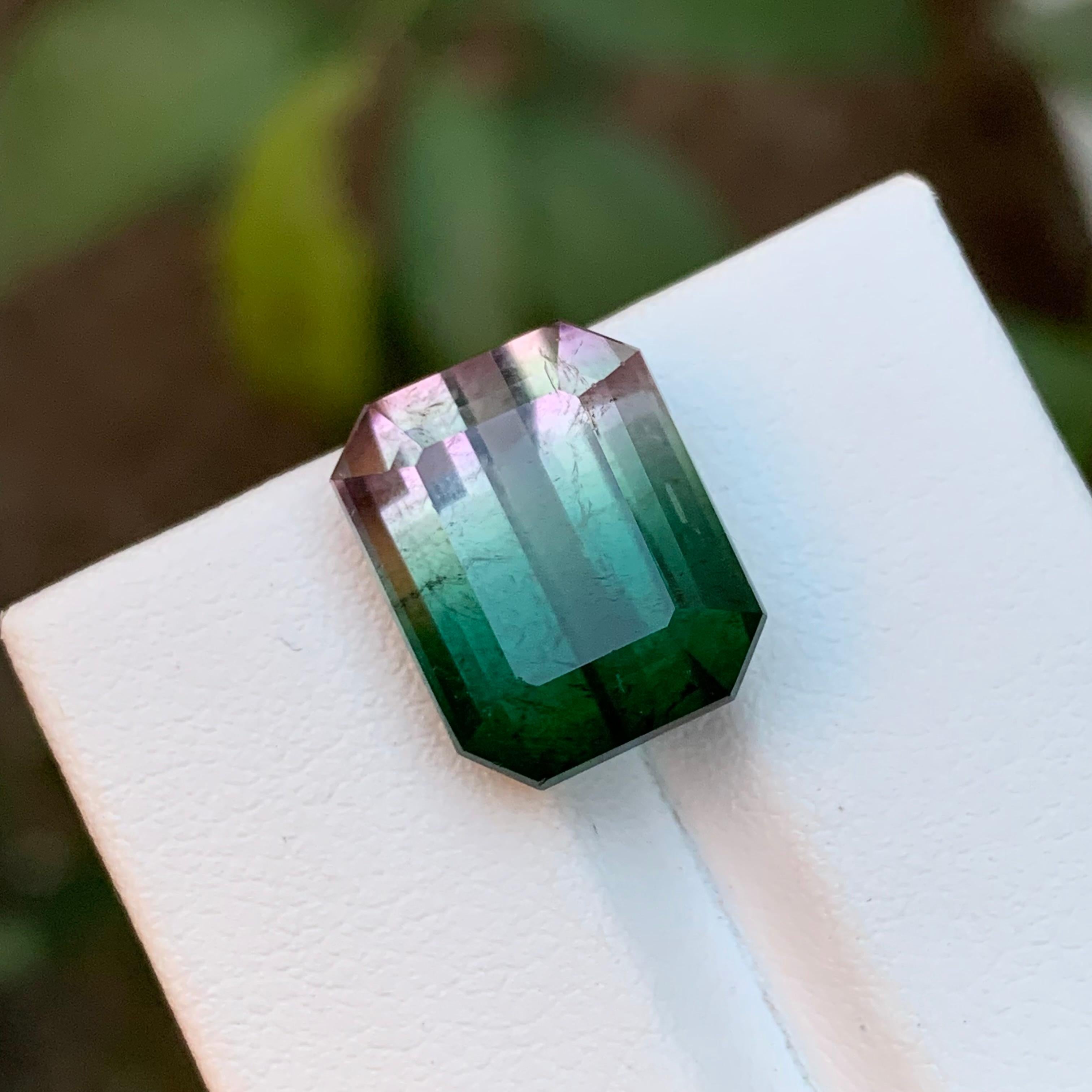 Contemporary Rare Watermelon Bicolor Bluish Green & Pink Afghan Tourmaline Gemstone, 13.15 Ct For Sale