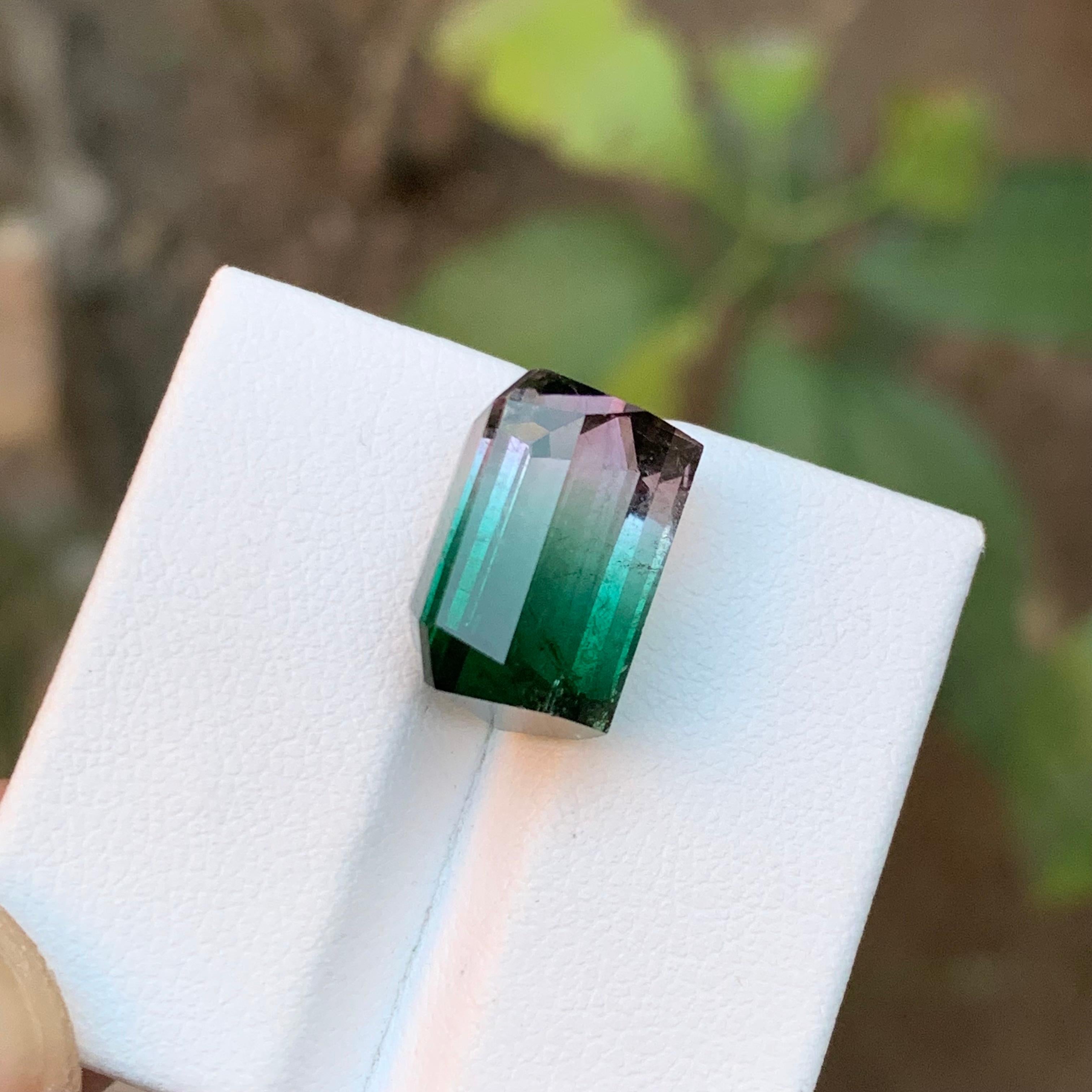 Rare Watermelon Bicolor Bluish Green & Pink Afghan Tourmaline Gemstone, 13.15 Ct In New Condition For Sale In Peshawar, PK