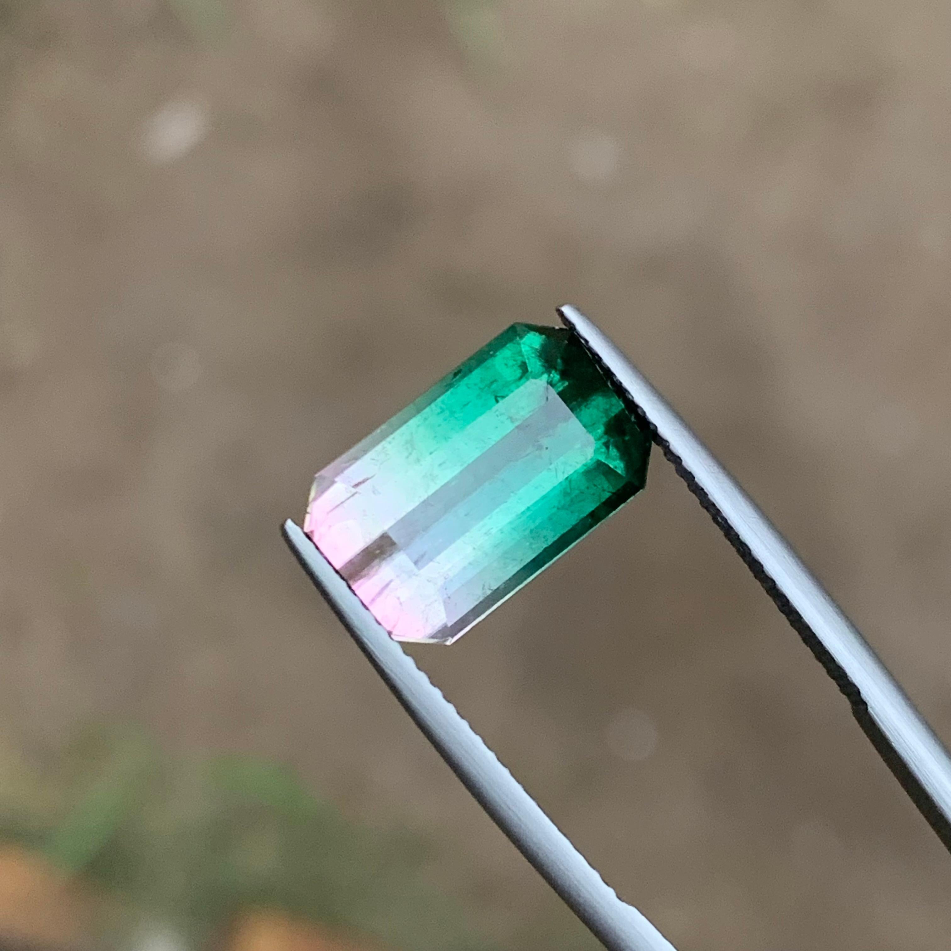 GEMSTONE TYPE: Tourmaline
PIECE(S): 1
WEIGHT: 7.30 Carat
SHAPE: Emerald Cut
SIZE (MM): 14.23 x 9.02 x 6.46
COLOR: Watermelon Bicolor Bluish Green & Pink
CLARITY: Slightly Included
TREATMENT: Heated
ORIGIN: Afghanistan
CERTIFICATE: On demand

A very
