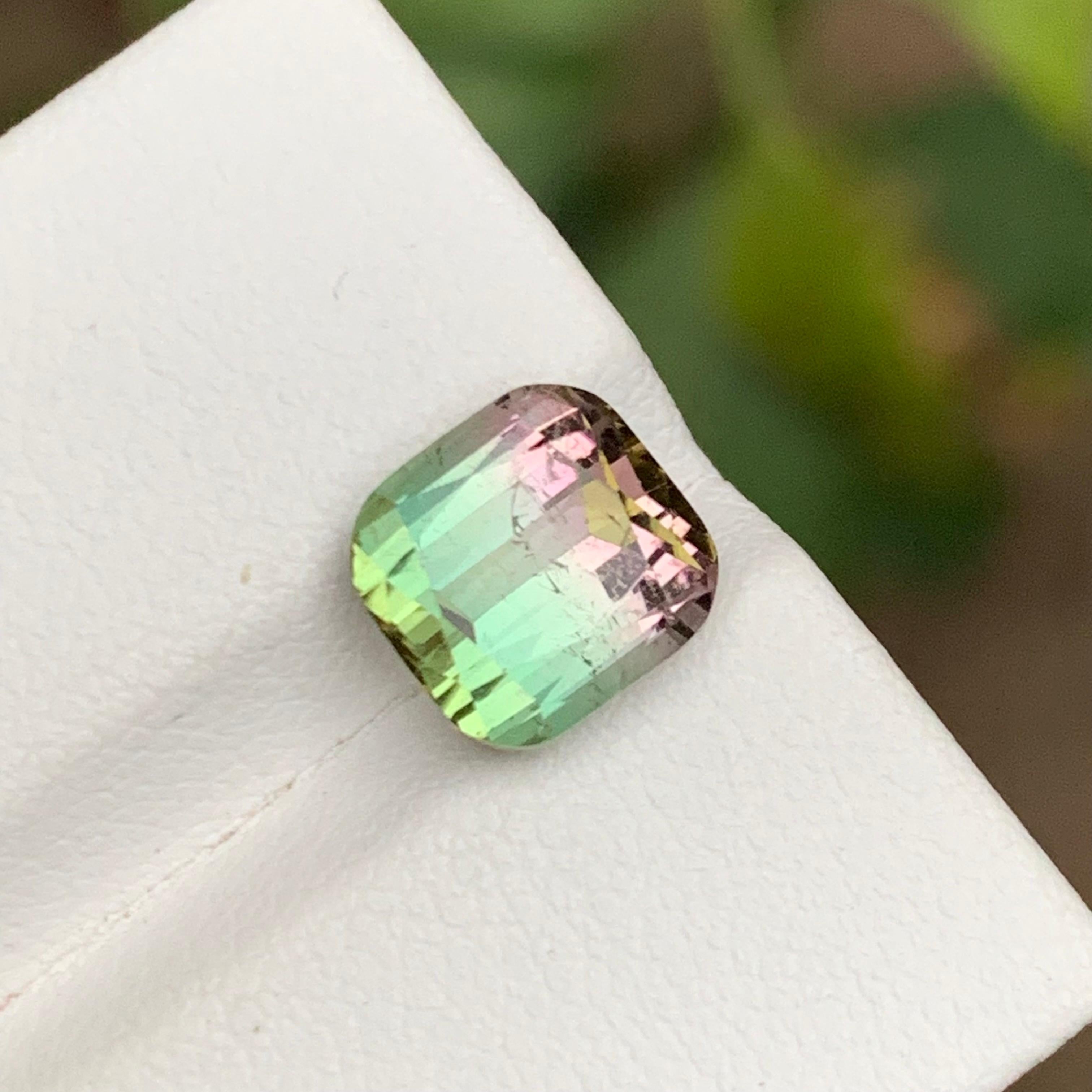 Rare Watermelon Bicolor Natural Tourmaline Gemstone 3.65 Ct Cushion Cut for Ring For Sale 3