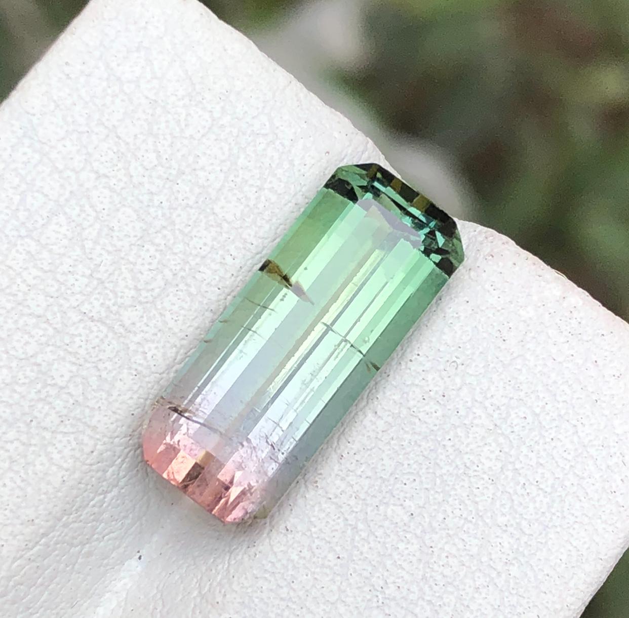 EDELSTEIN-TYP: Turmalin
STÜCK(E): 1
GEWICHT: 5,60 Karat
SHAPE: Smaragd 
Größe (MM): 16,04 x 6,60 x 5,63
FARBE: Wassermelone Bicolor
CLARITY: Geringfügig eingeschlossen 
BEHANDLUNG: Beheizt
URSPRUNG: Afghanistan
ZERTIFIKAT: Auf Anfrage
(Falls Sie