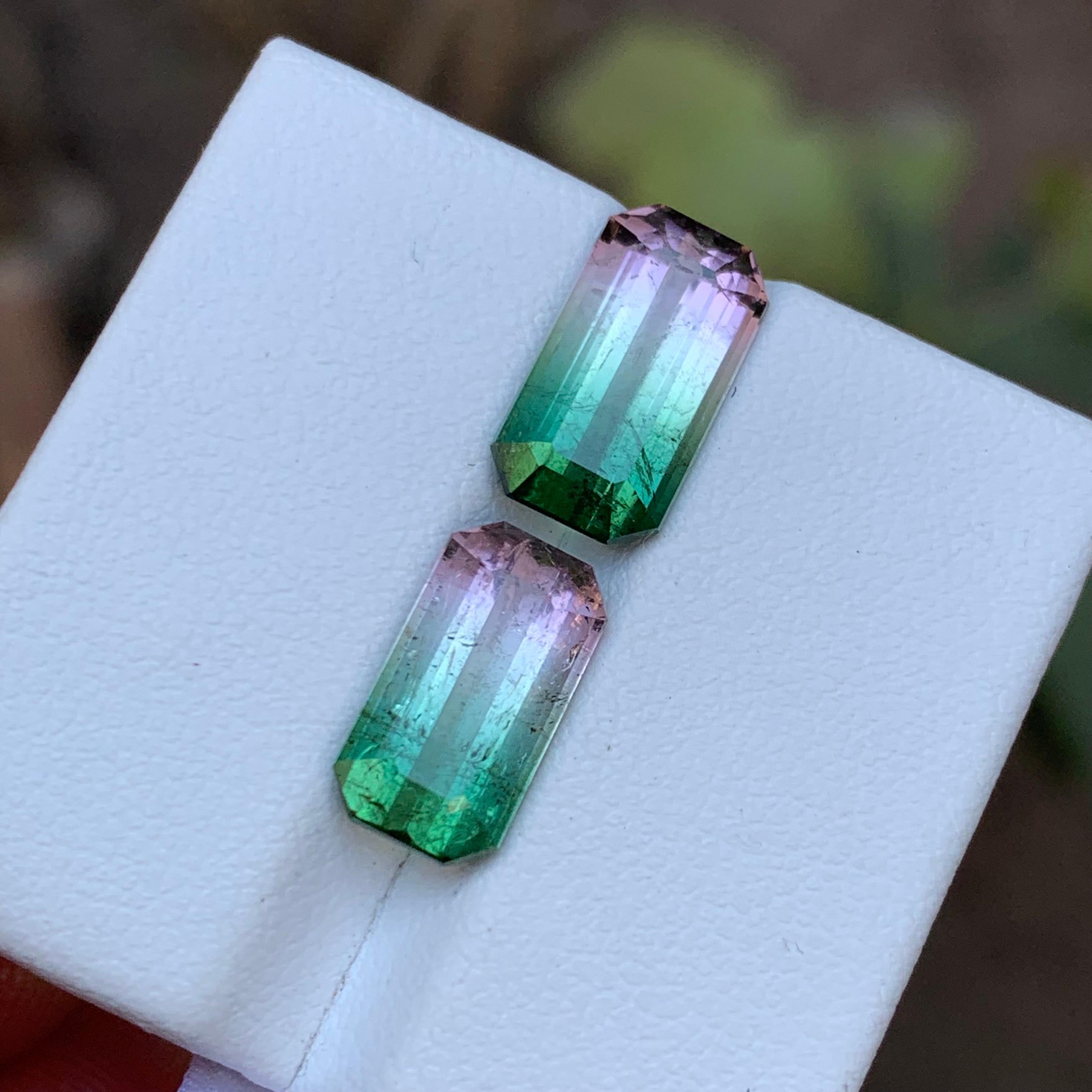 Rare Watermelon Bicolor Natural Tourmaline Loose Gemstones 7.25 Ct for Earrings  For Sale 4