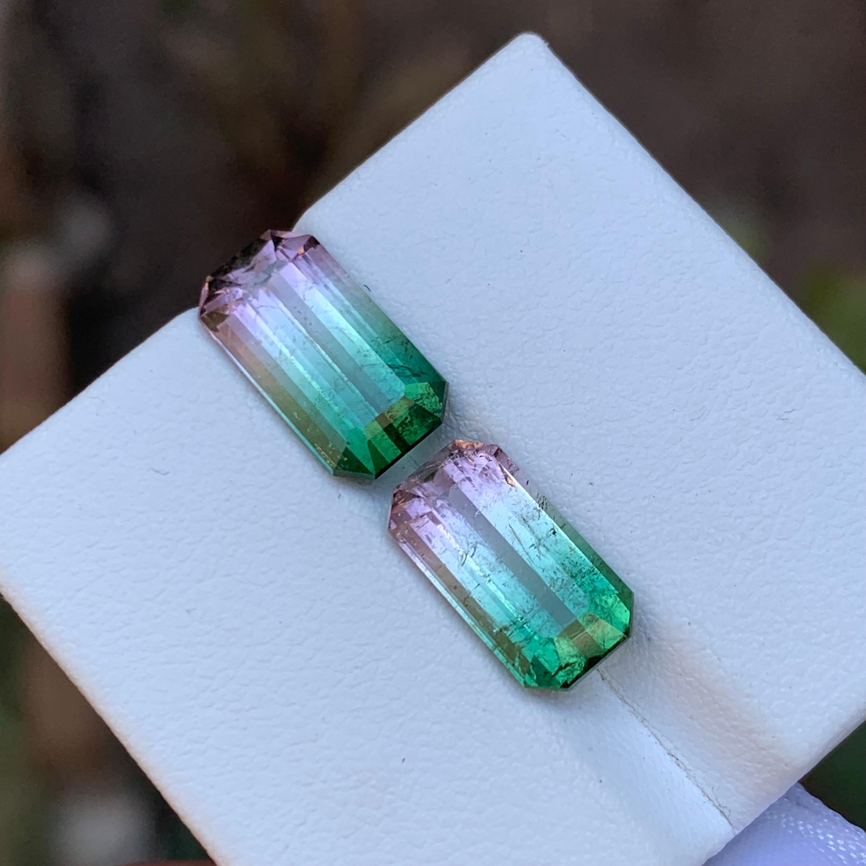 Rare Watermelon Bicolor Natural Tourmaline Loose Gemstones 7.25 Ct for Earrings  For Sale 1