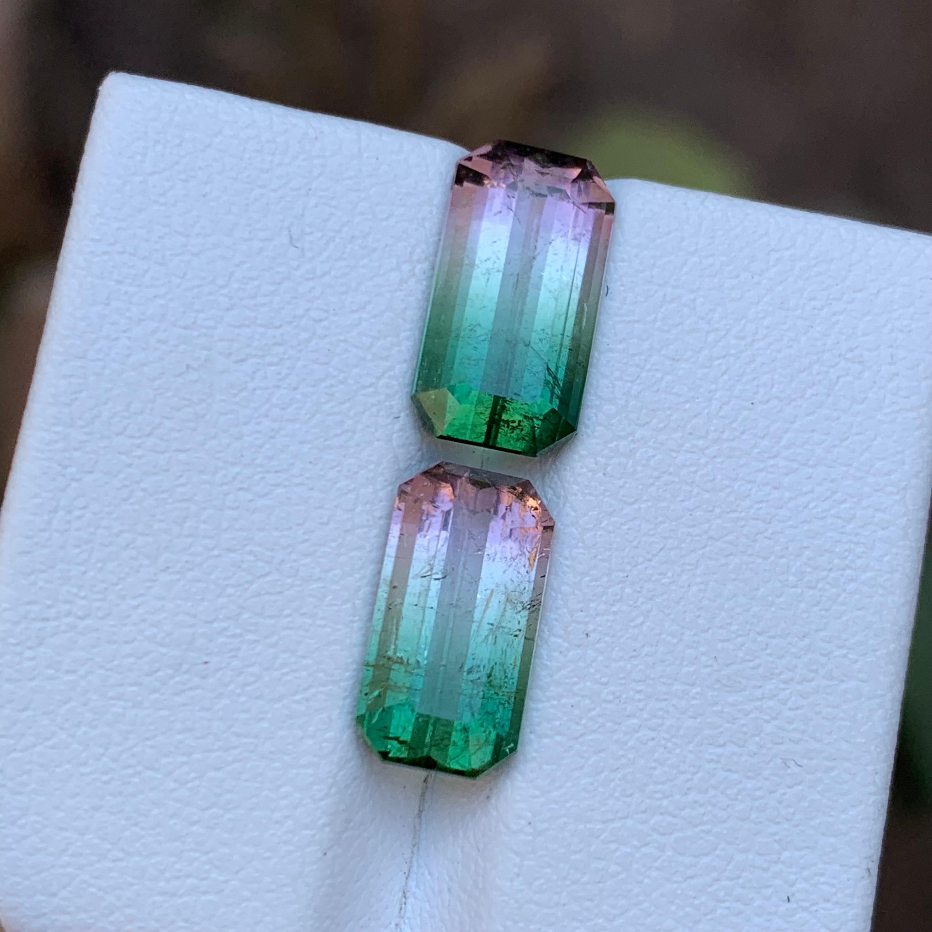 Rare Watermelon Bicolor Natural Tourmaline Loose Gemstones 7.25 Ct for Earrings  For Sale 2