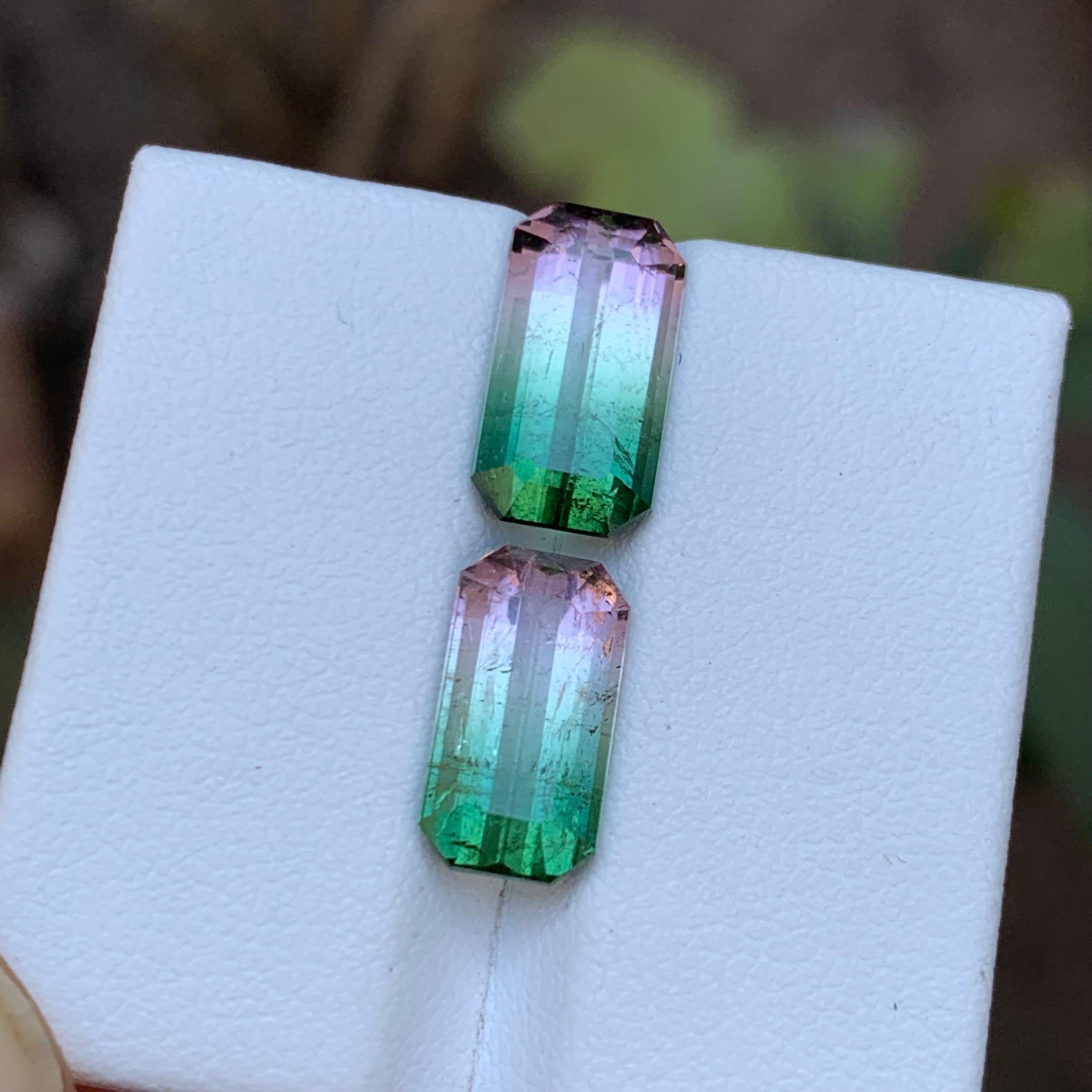Rare Watermelon Bicolor Natural Tourmaline Loose Gemstones 7.25 Ct for Earrings  For Sale 3