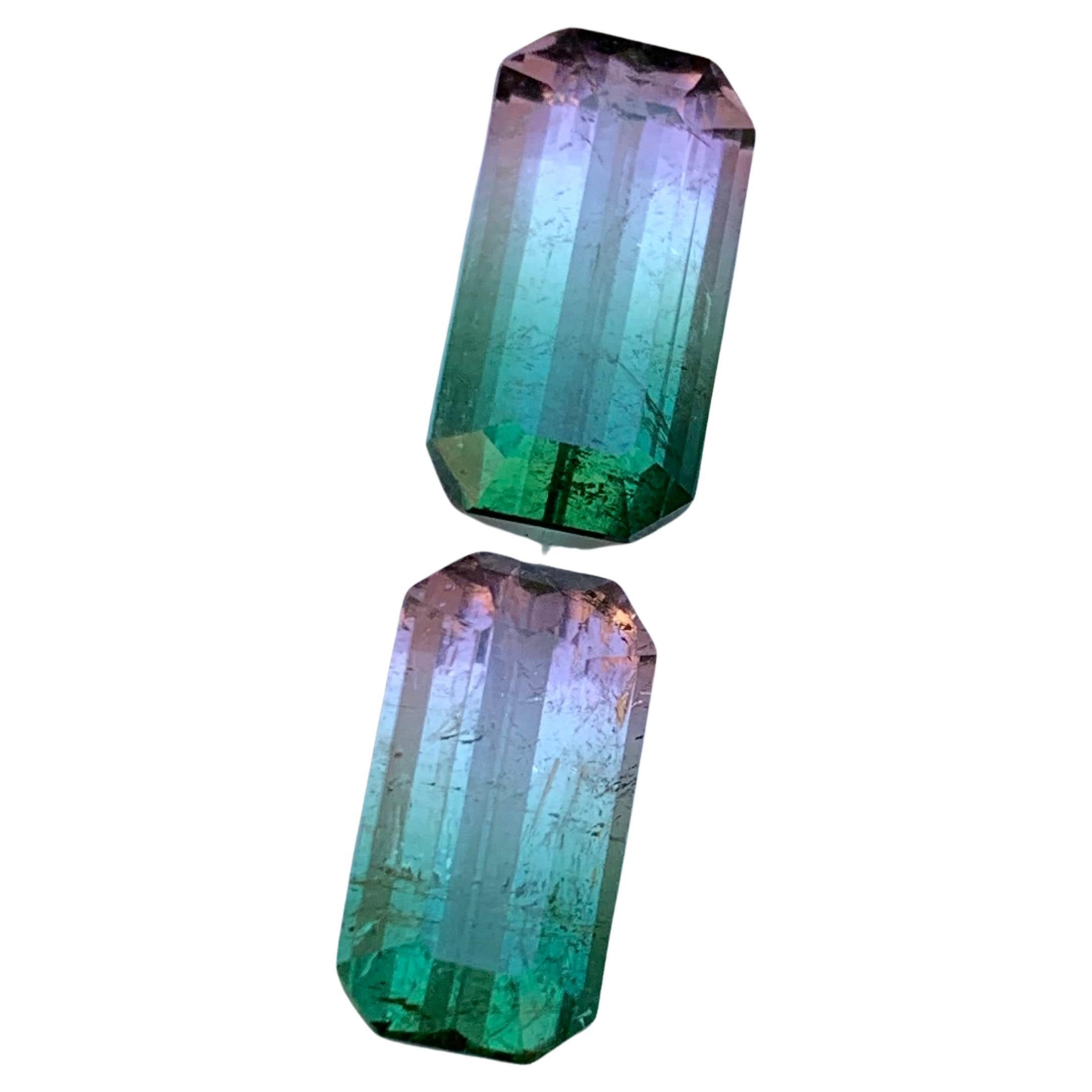 Rare Watermelon Bicolor Natural Tourmaline Loose Gemstones 7.25 Ct for Earrings  For Sale