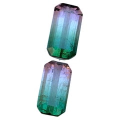 Rare tourmaline naturelle bicolore tourmaline melon non sertie 7,25 carats pour boucles d'oreilles 