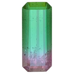 Rare Watermelon Bicolor Natural Tourmaline Ring Loose Gemstone 5.40 Ct-Jewelry
