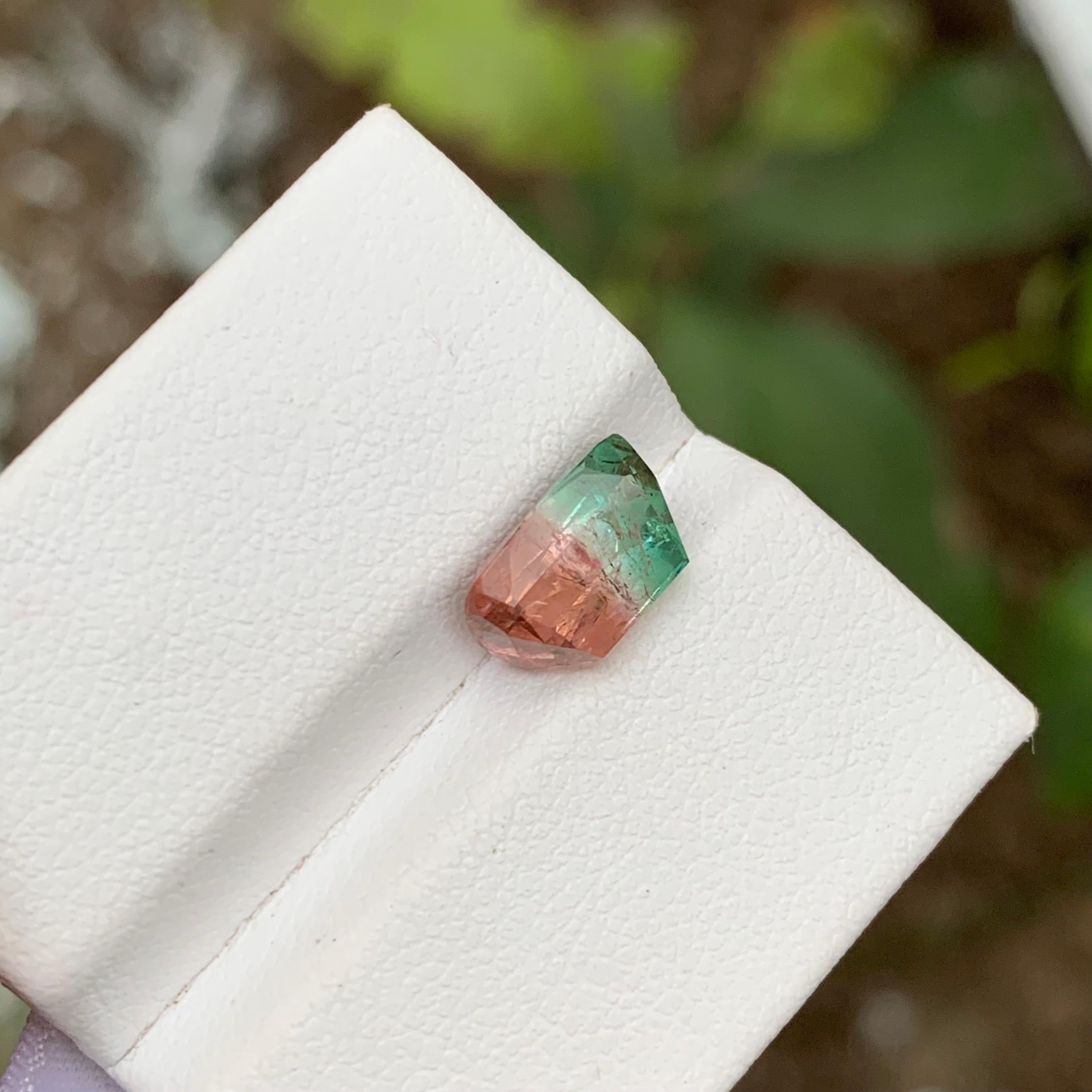 Rare Watermelon Bicolor Tourmaline Gemstone 3.05Ct Cushion Cut for Ring/Jewelry  For Sale 1