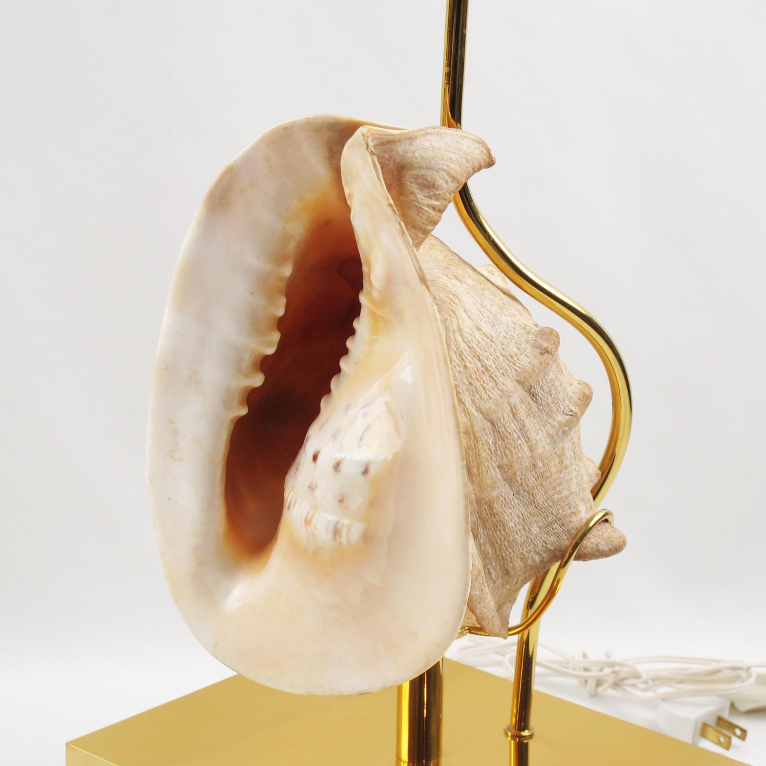 Rare lampade da tavolo Willy Daro in ottone e conchiglie, circa 1970 in vendita 2